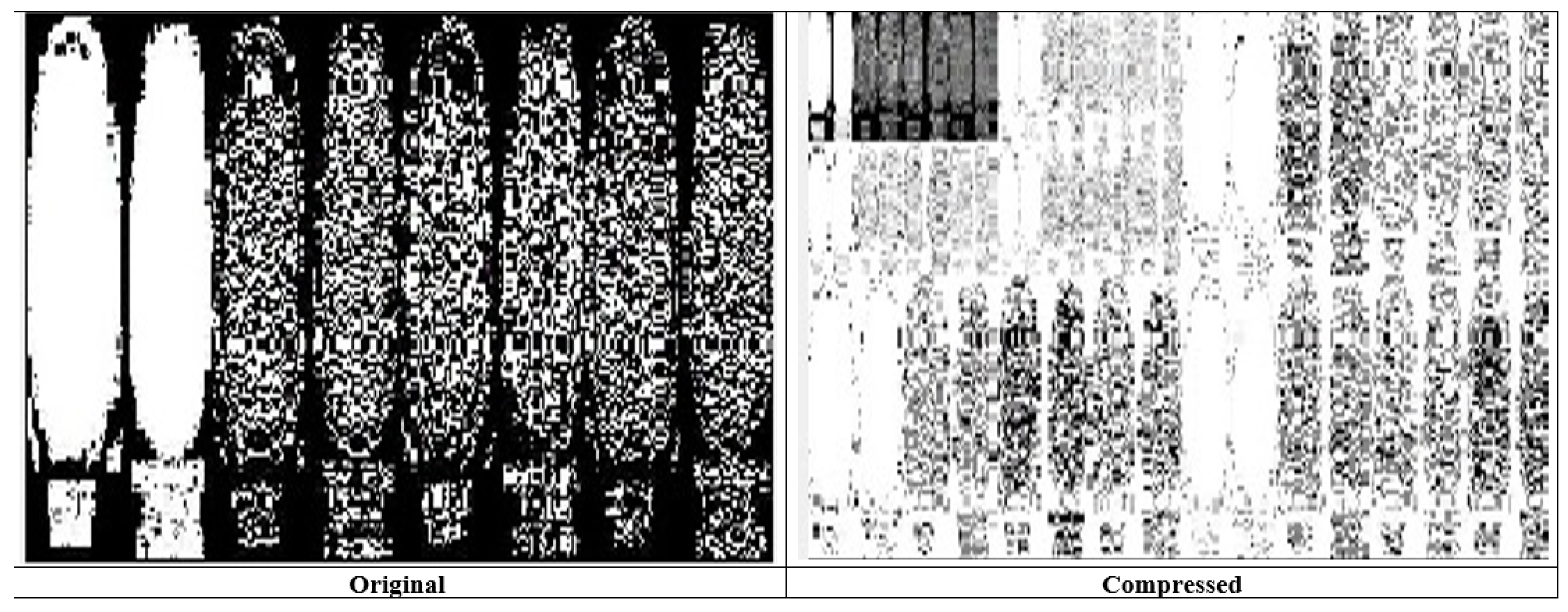 Bioengineering 10 00333 g005