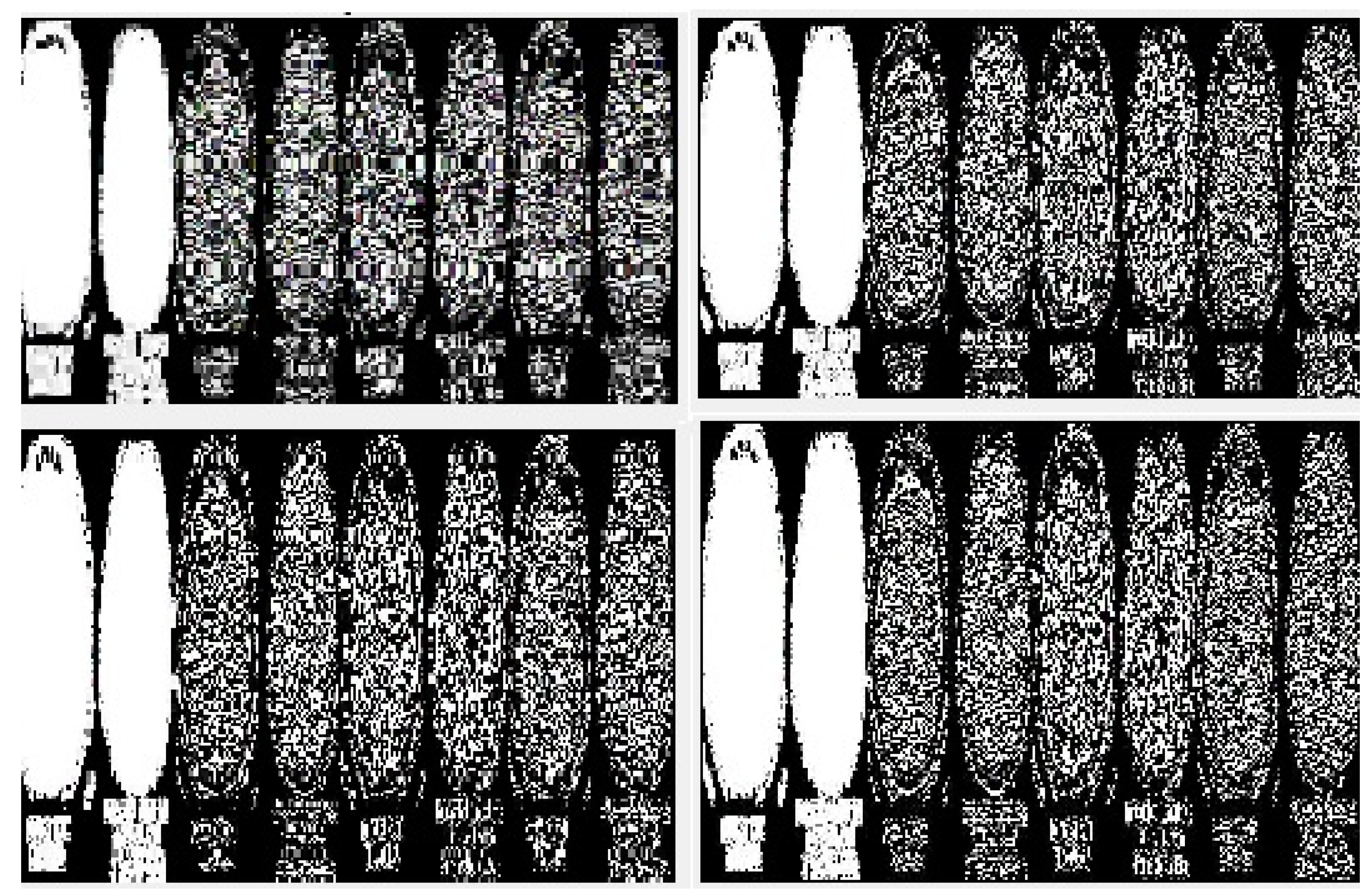 Bioengineering 10 00333 g006