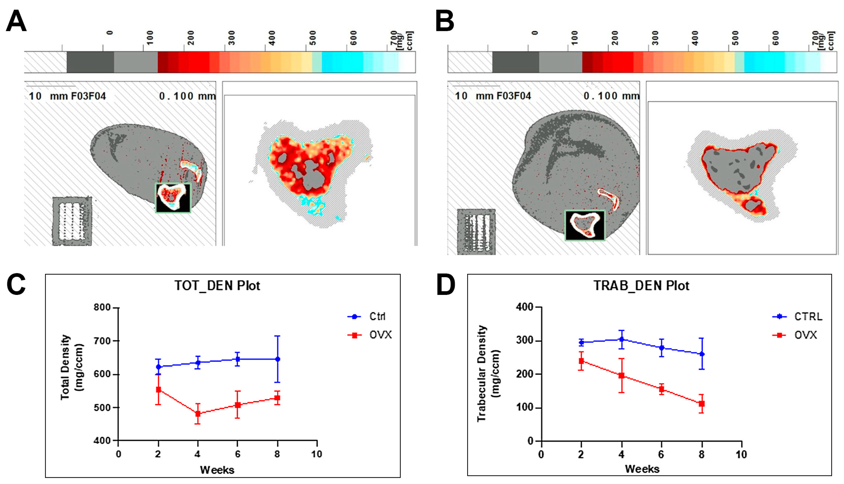 Bioengineering 10 00338 g002