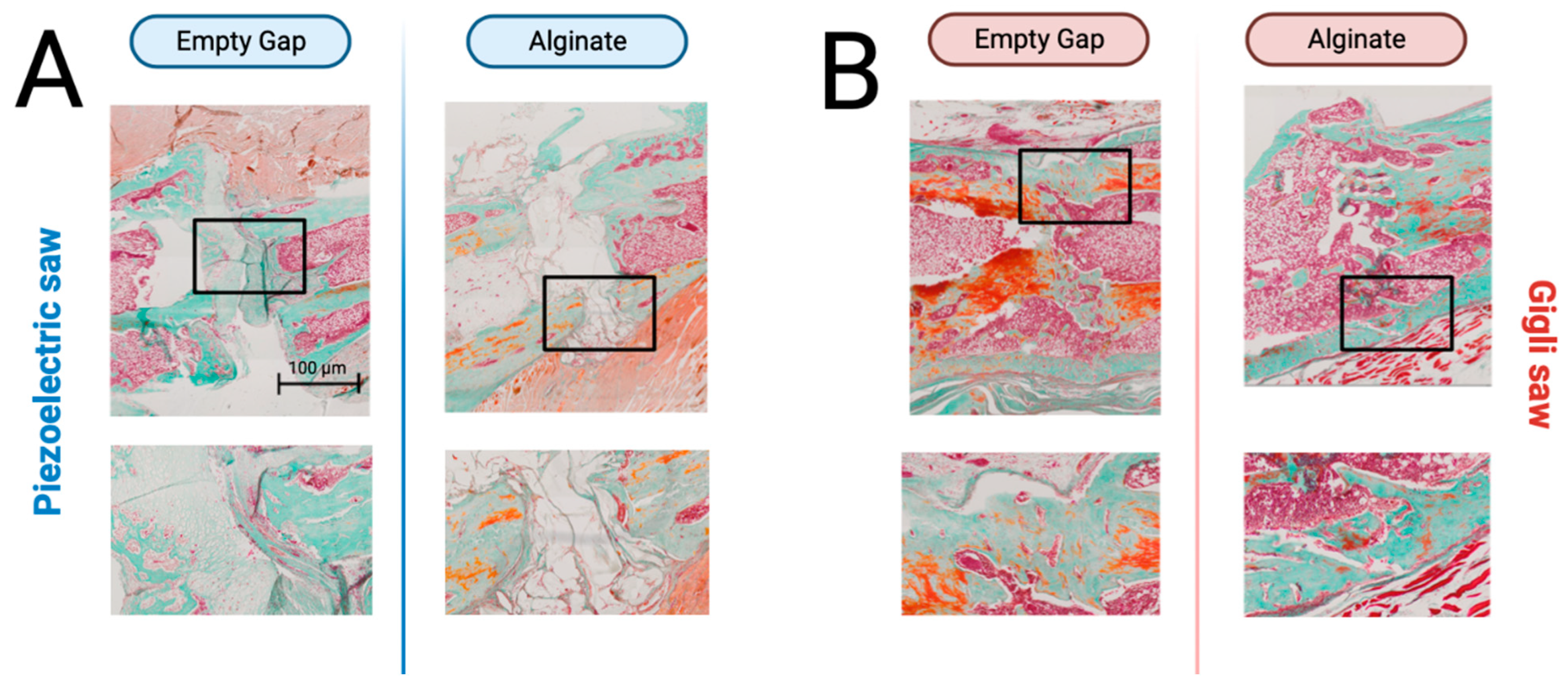 Bioengineering 10 00338 g006