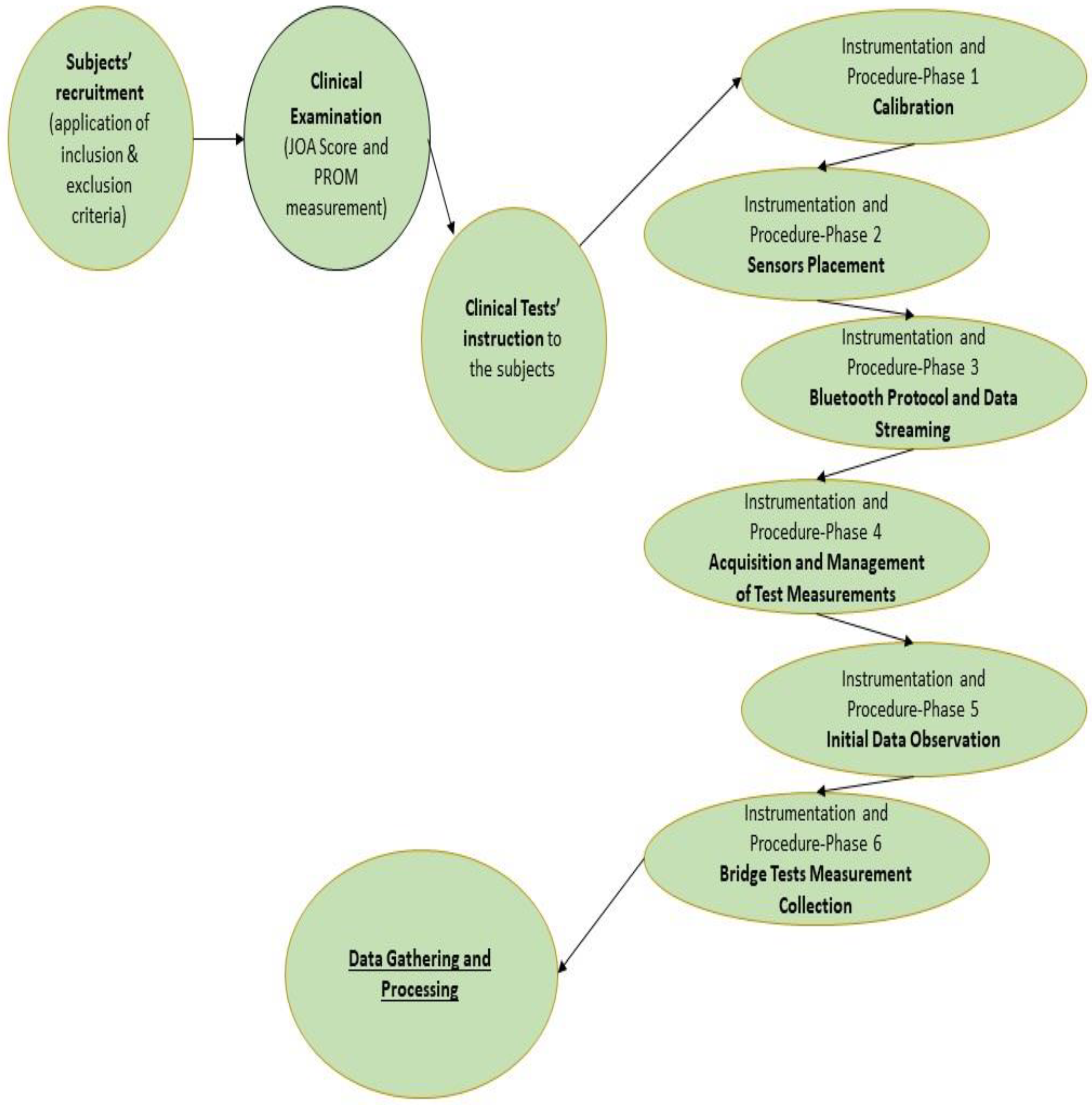 Bioengineering 10 00339 g001