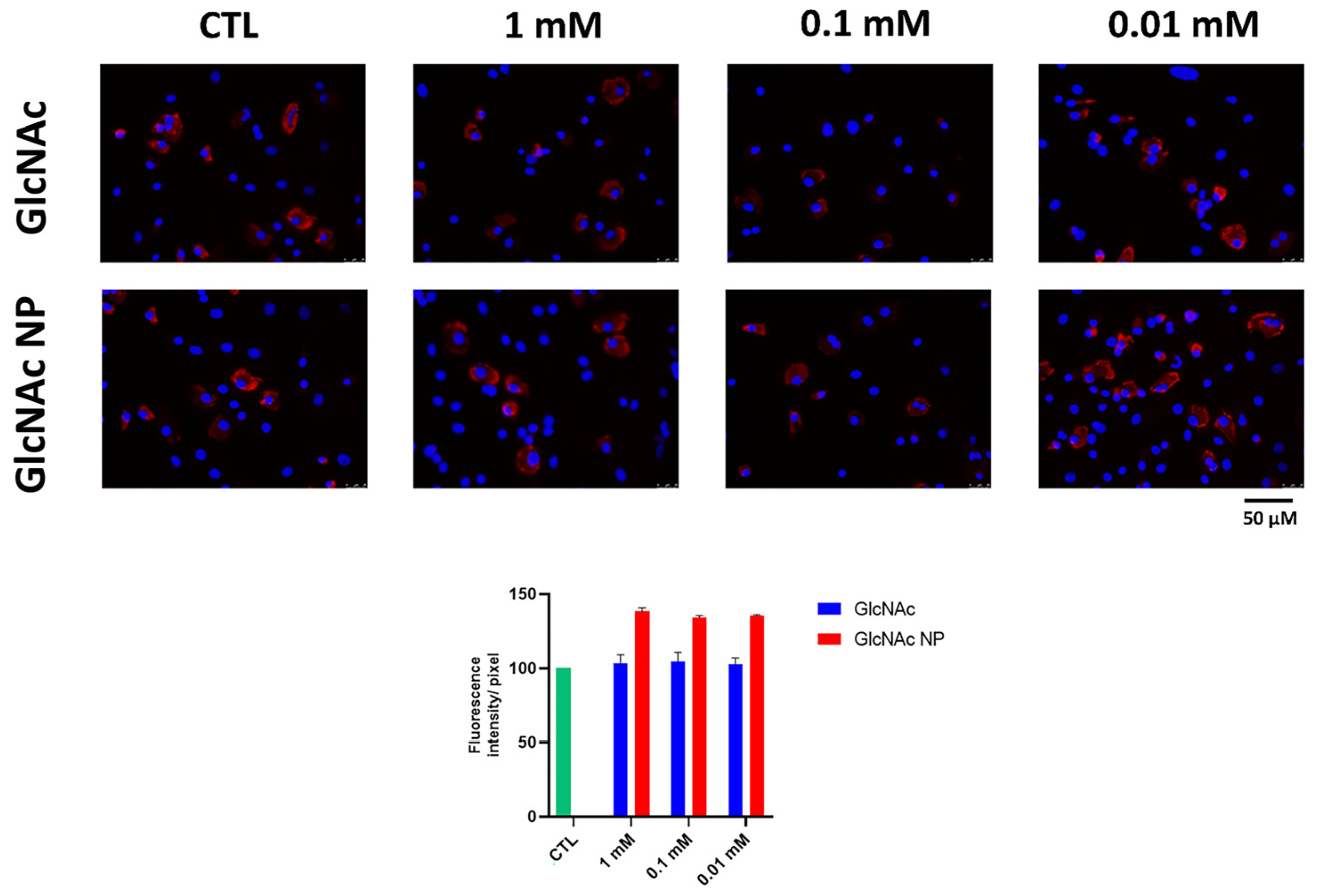 Bioengineering 10 00343 g006