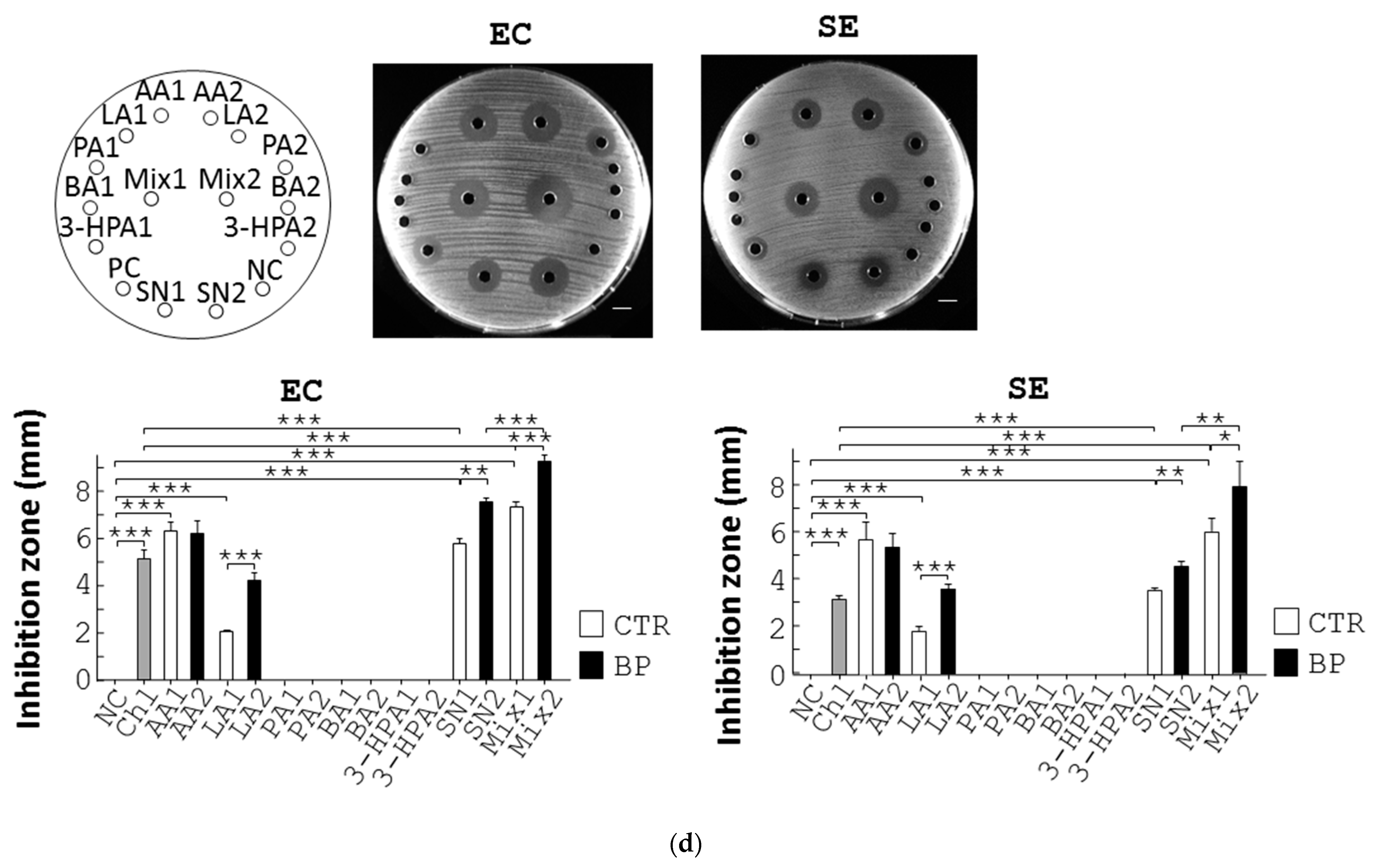 Bioengineering 10 00346 g003b