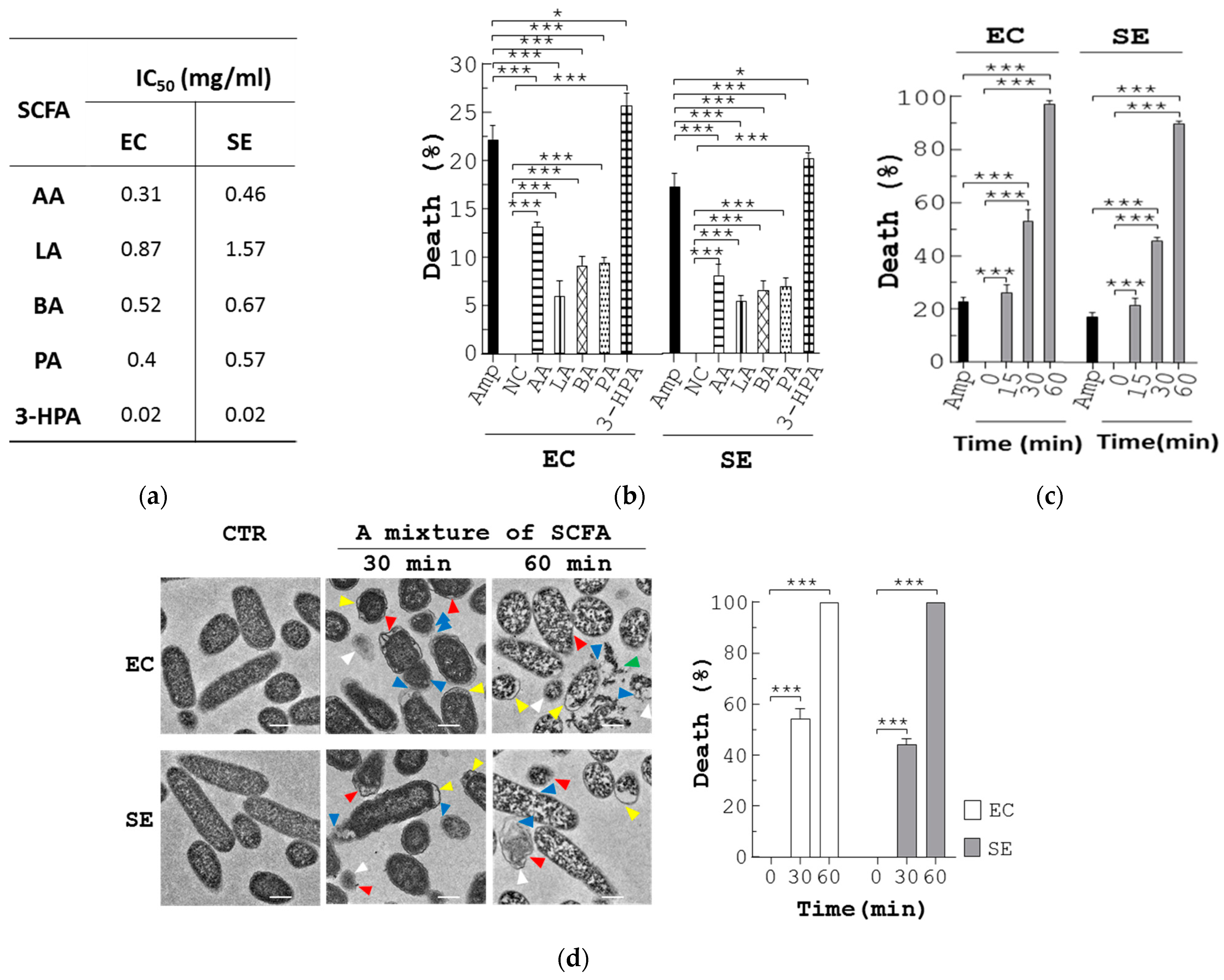 Bioengineering 10 00346 g004a