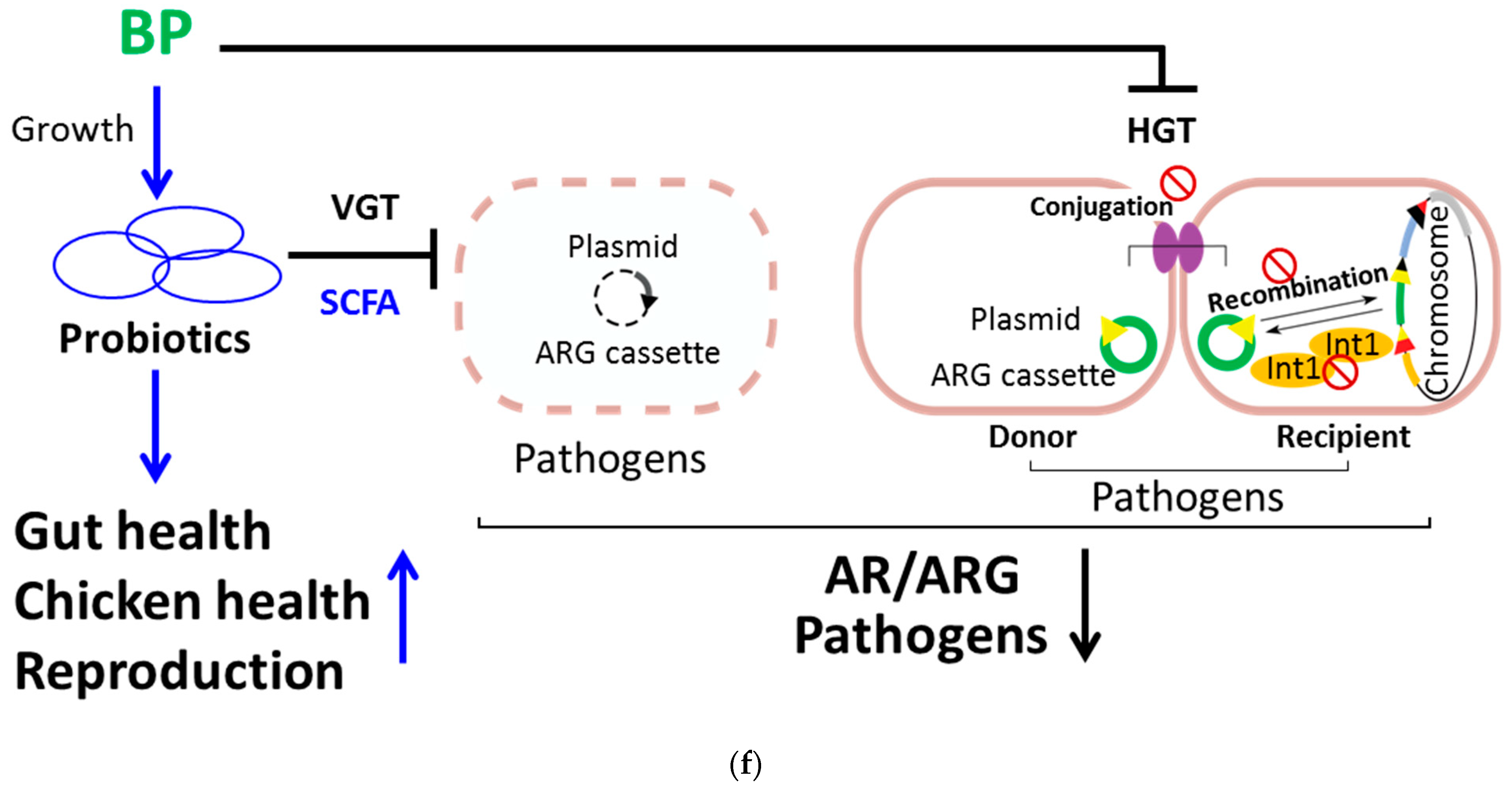 Bioengineering 10 00346 g005b