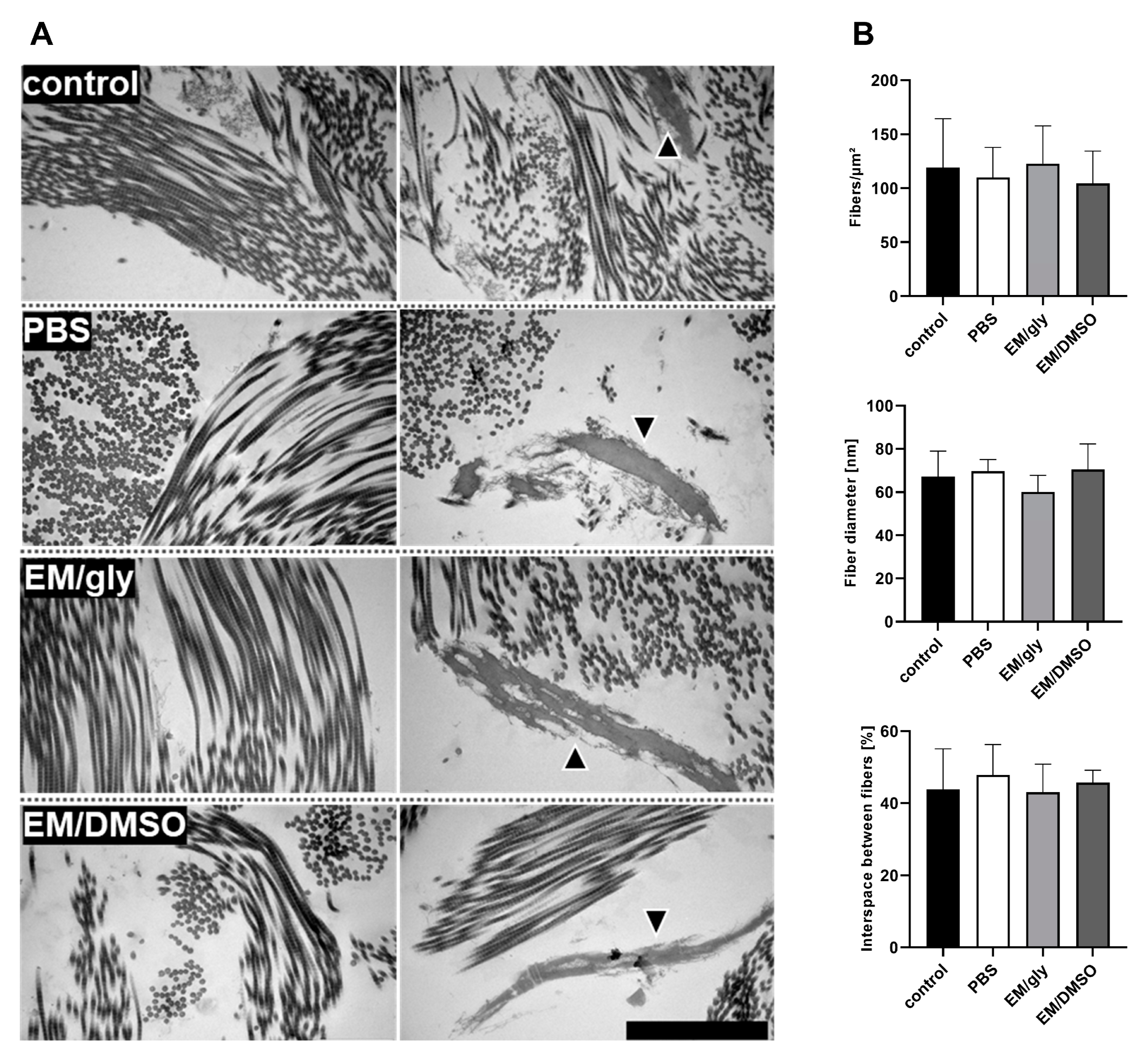 Bioengineering 10 00350 g002