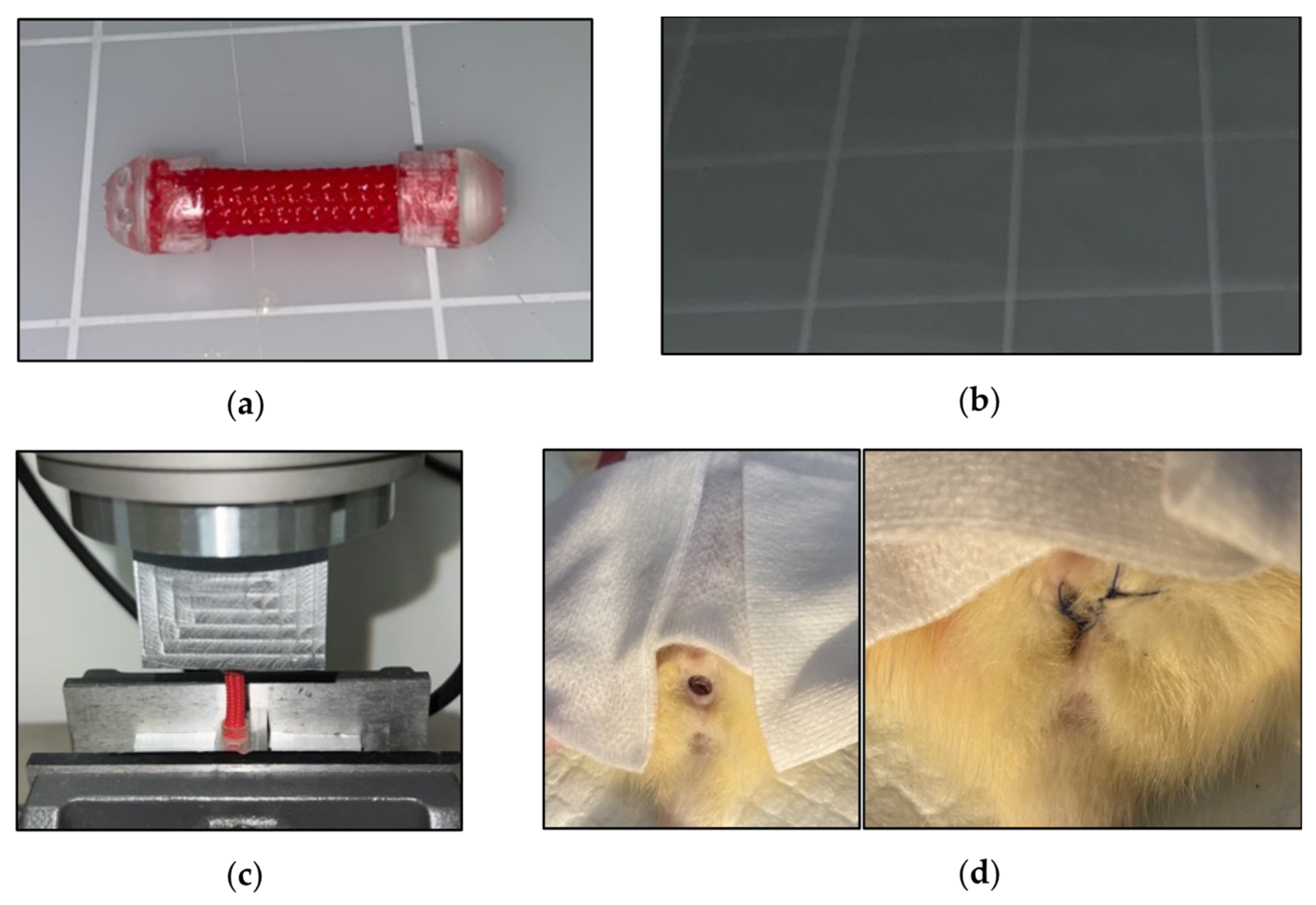 Bioengineering 10 00351 g001 Bioengineering 10 00351 g001