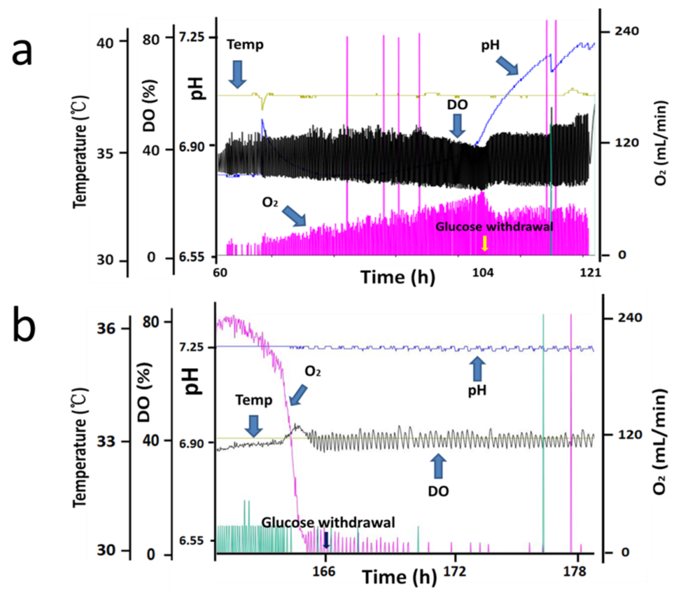 Bioengineering 10 00357 g001