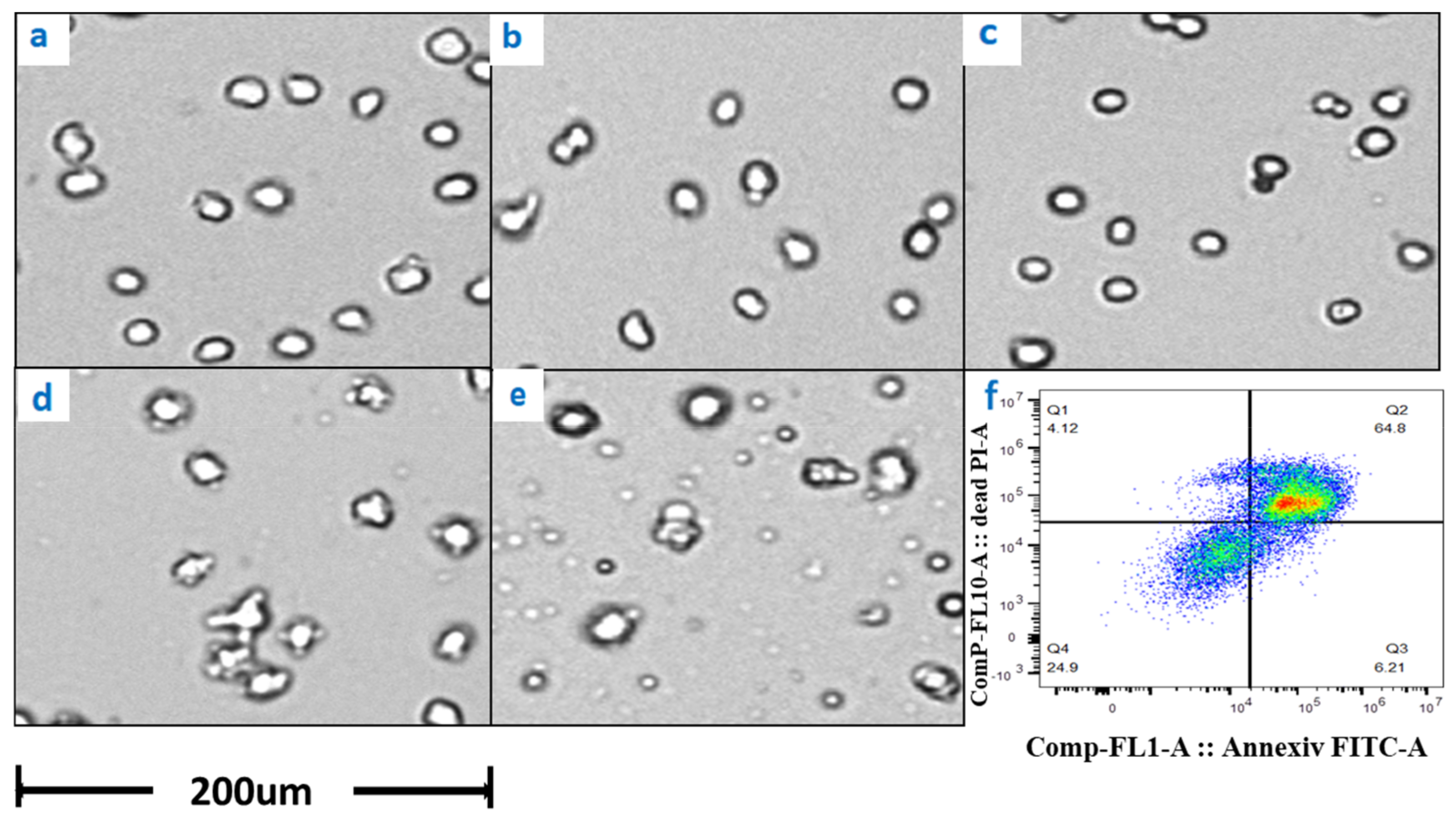 Bioengineering 10 00357 g005
