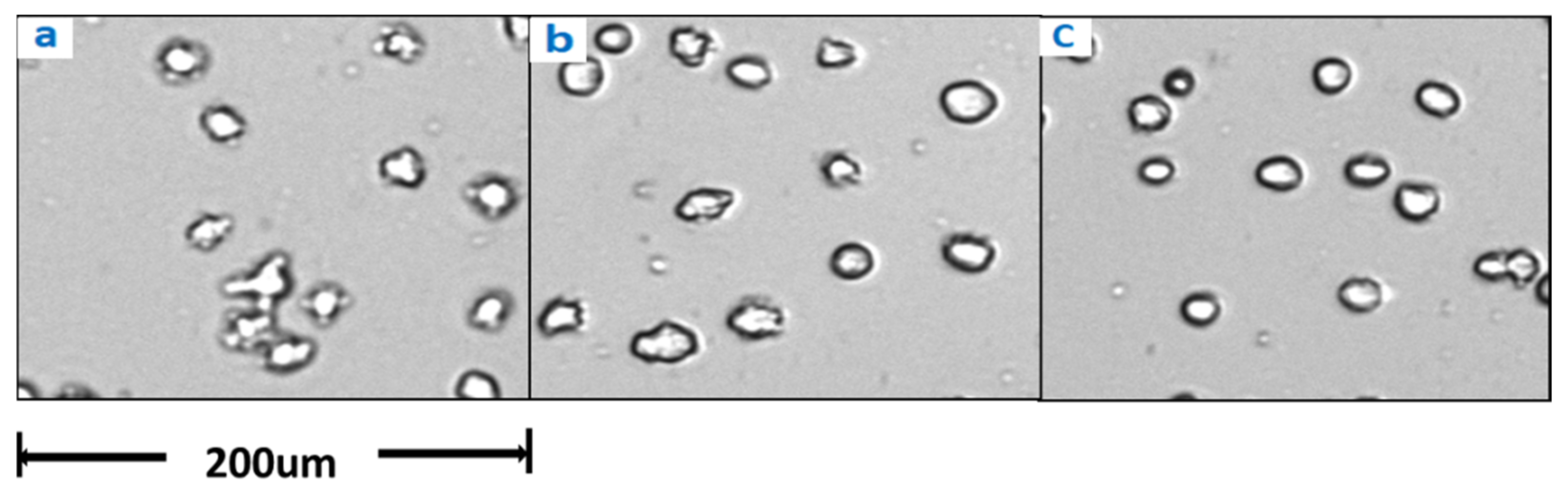 Bioengineering 10 00357 g009