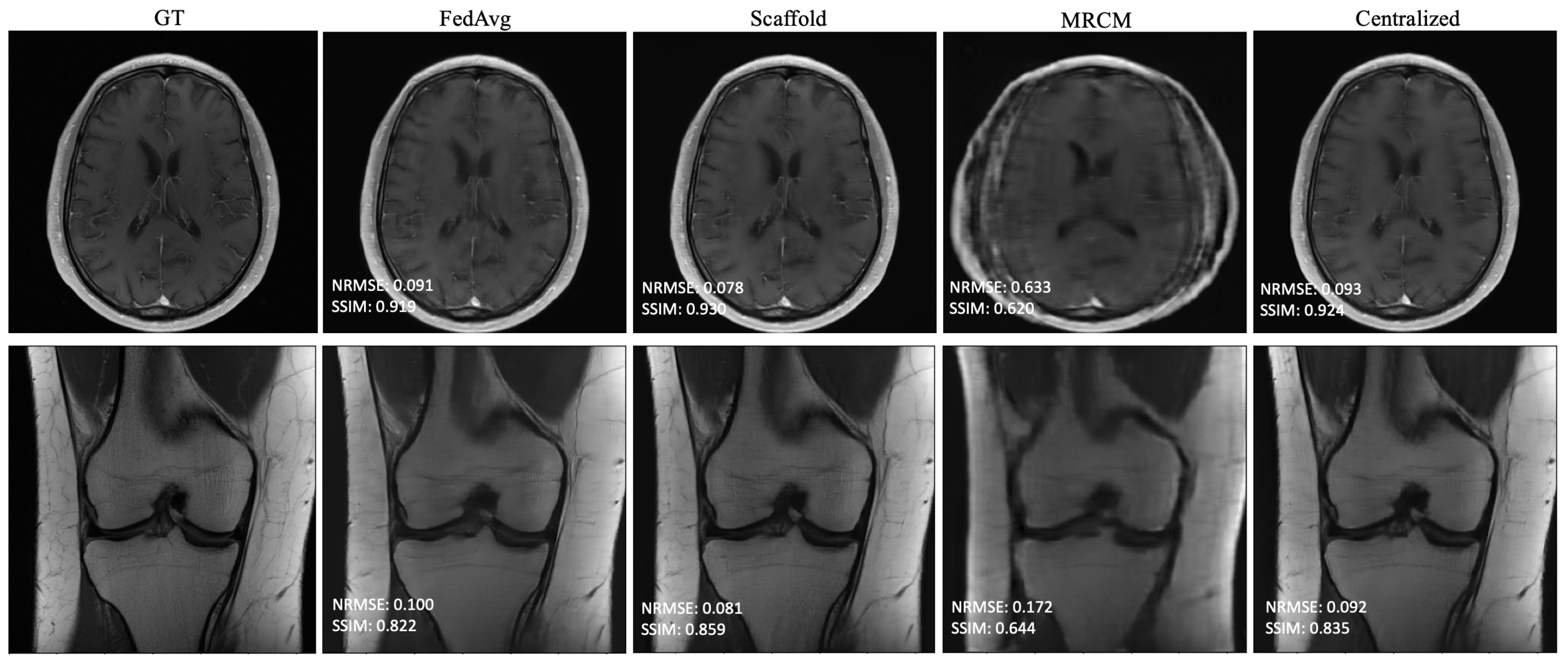 Bioengineering 10 00364 g004