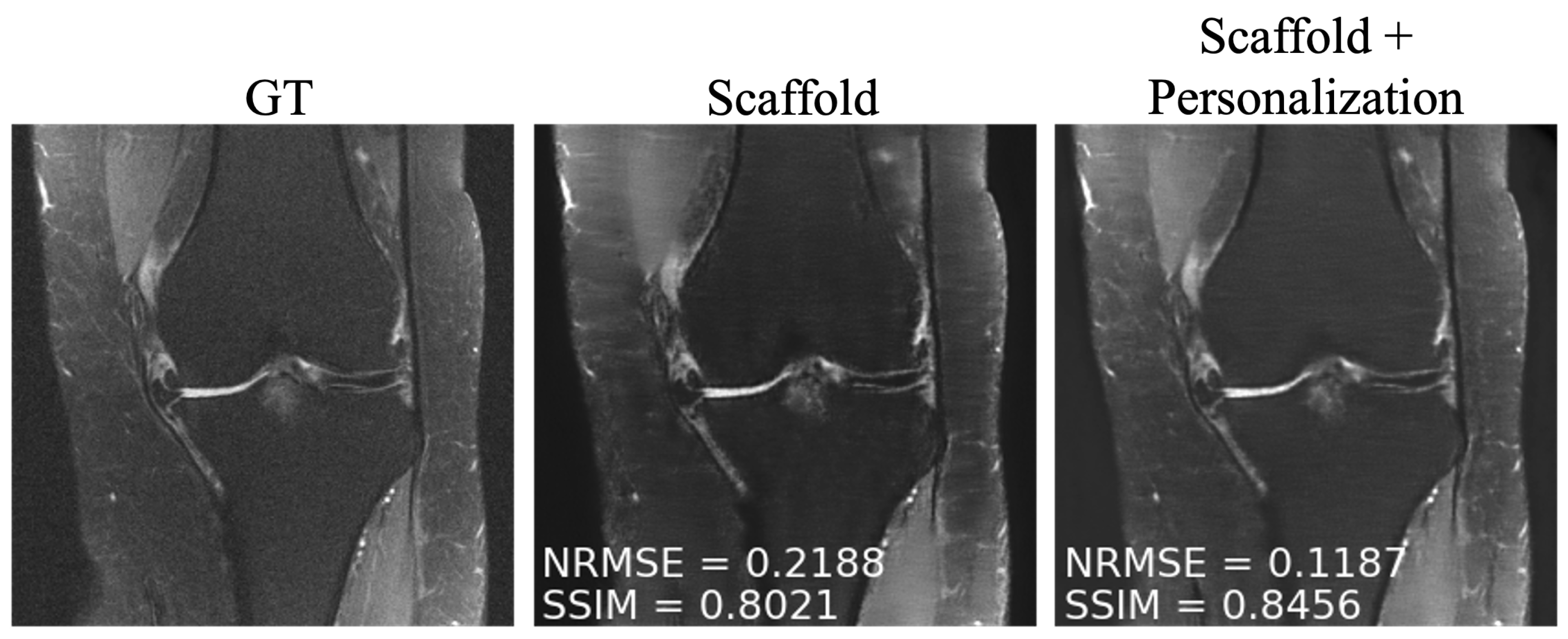 Bioengineering 10 00364 g006