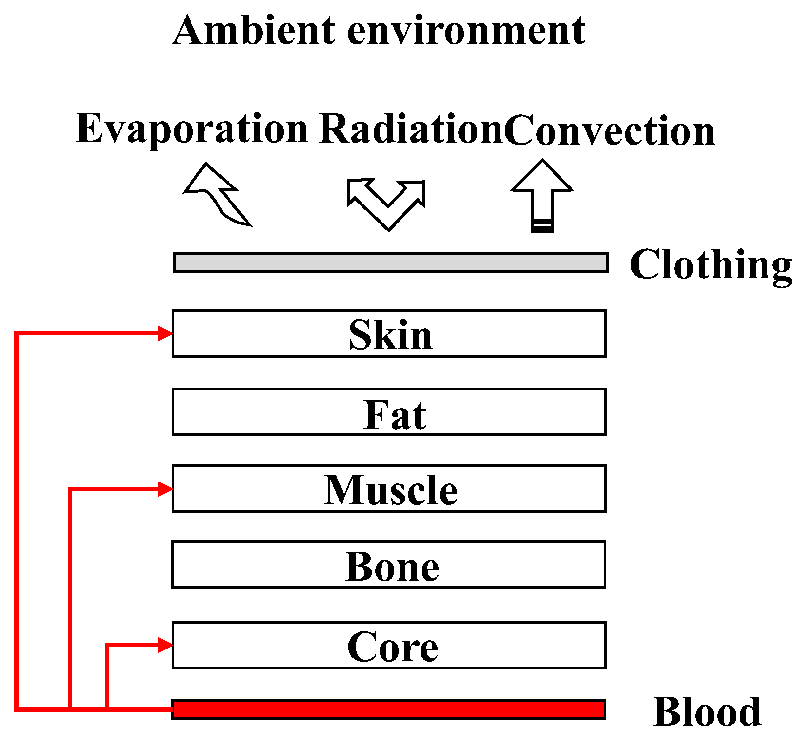 Bioengineering 10 00368 g001 Bioengineering 10 00368 g001