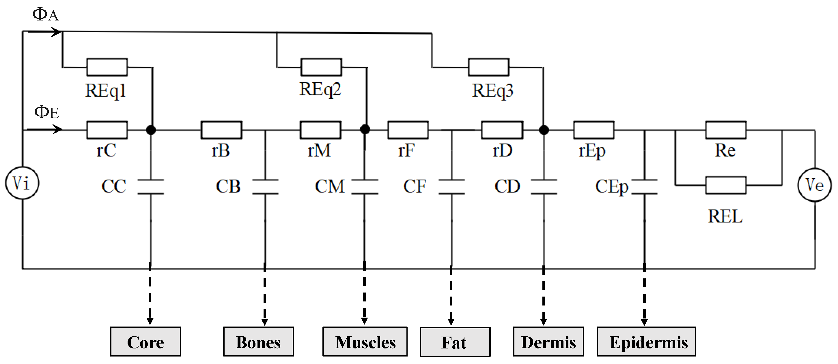 Bioengineering 10 00368 g002 Bioengineering 10 00368 g002