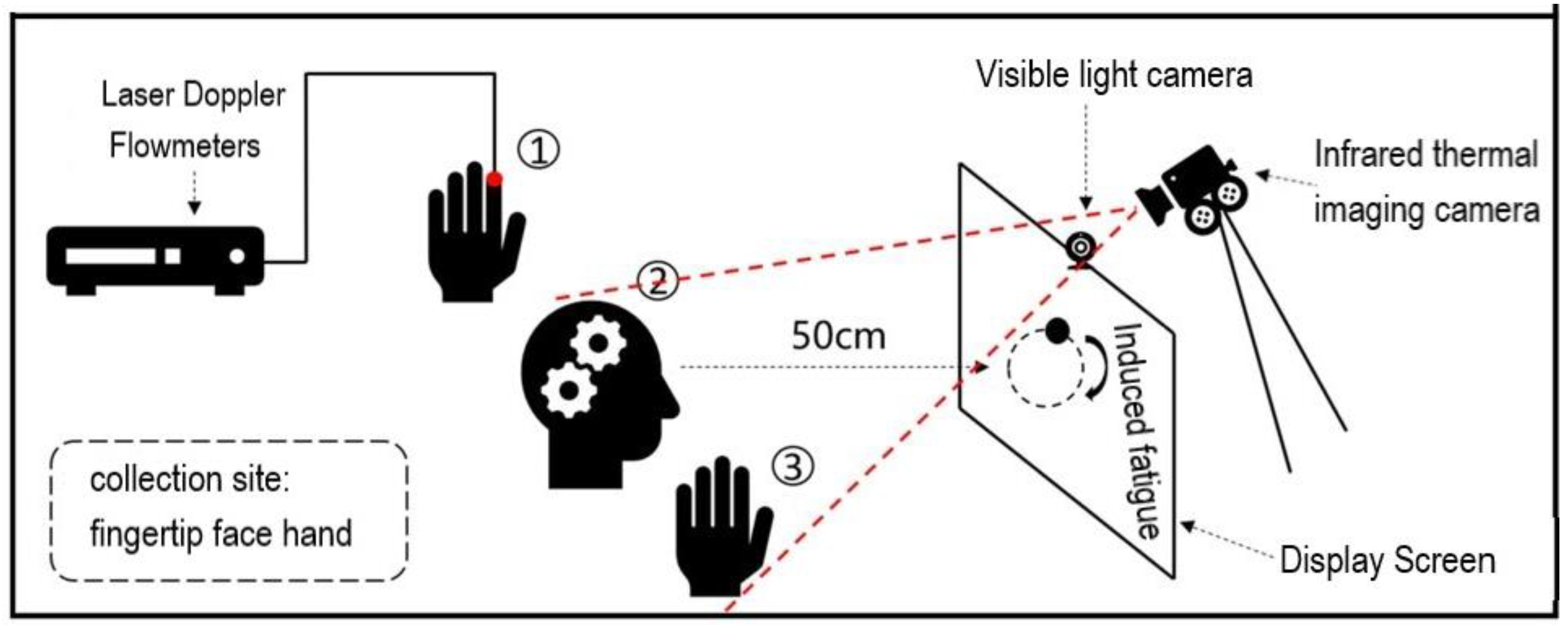 Bioengineering 10 00368 g005 Bioengineering 10 00368 g005