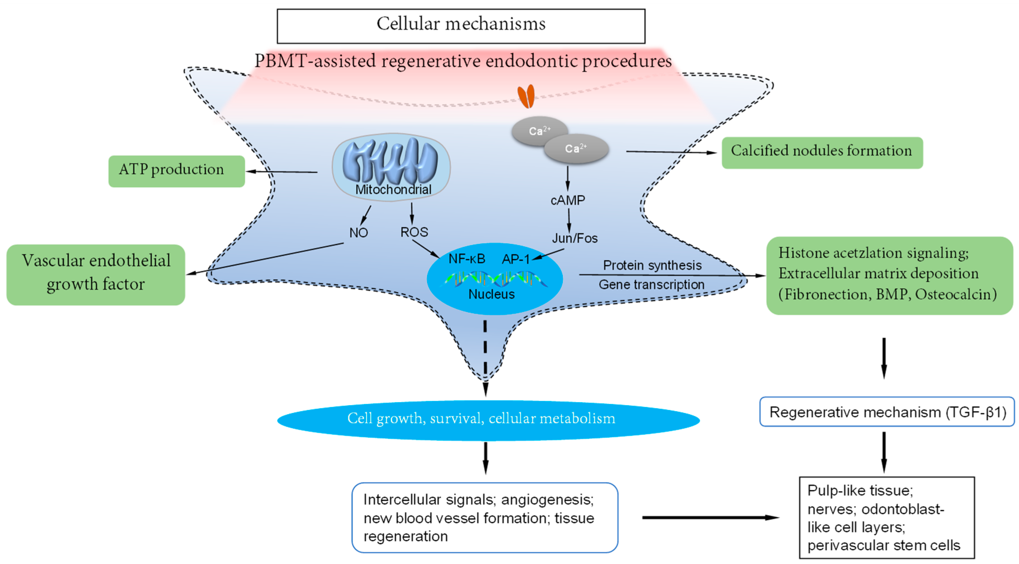 Bioengineering 10 00371 g002 Bioengineering 10 00371 g002