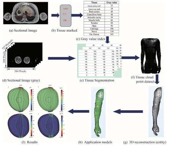 Bioengineering 10 00374 g0a1