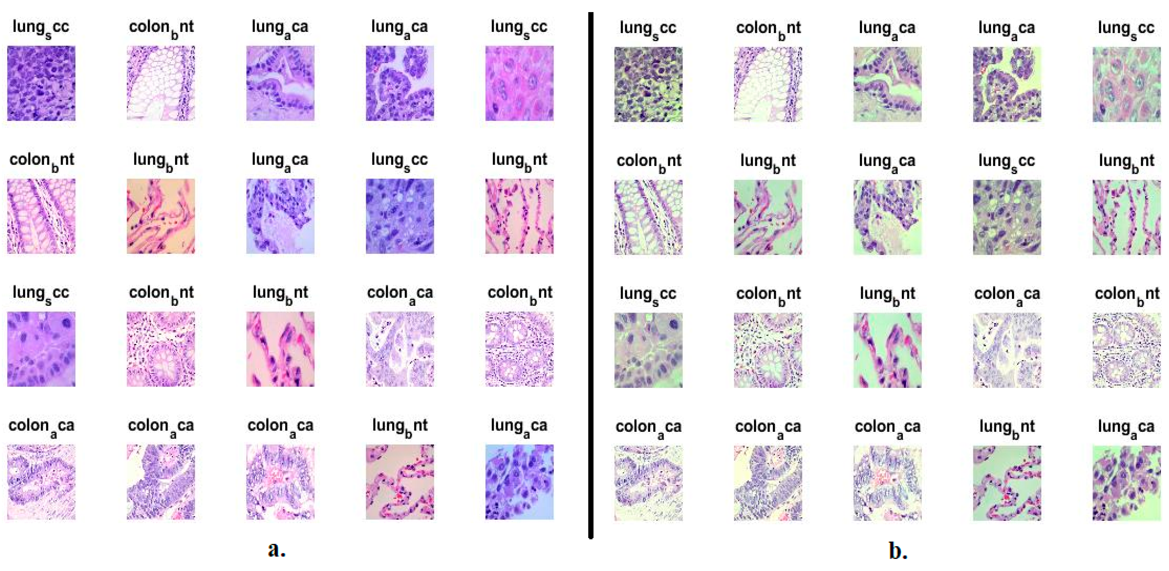Bioengineering 10 00383 g002