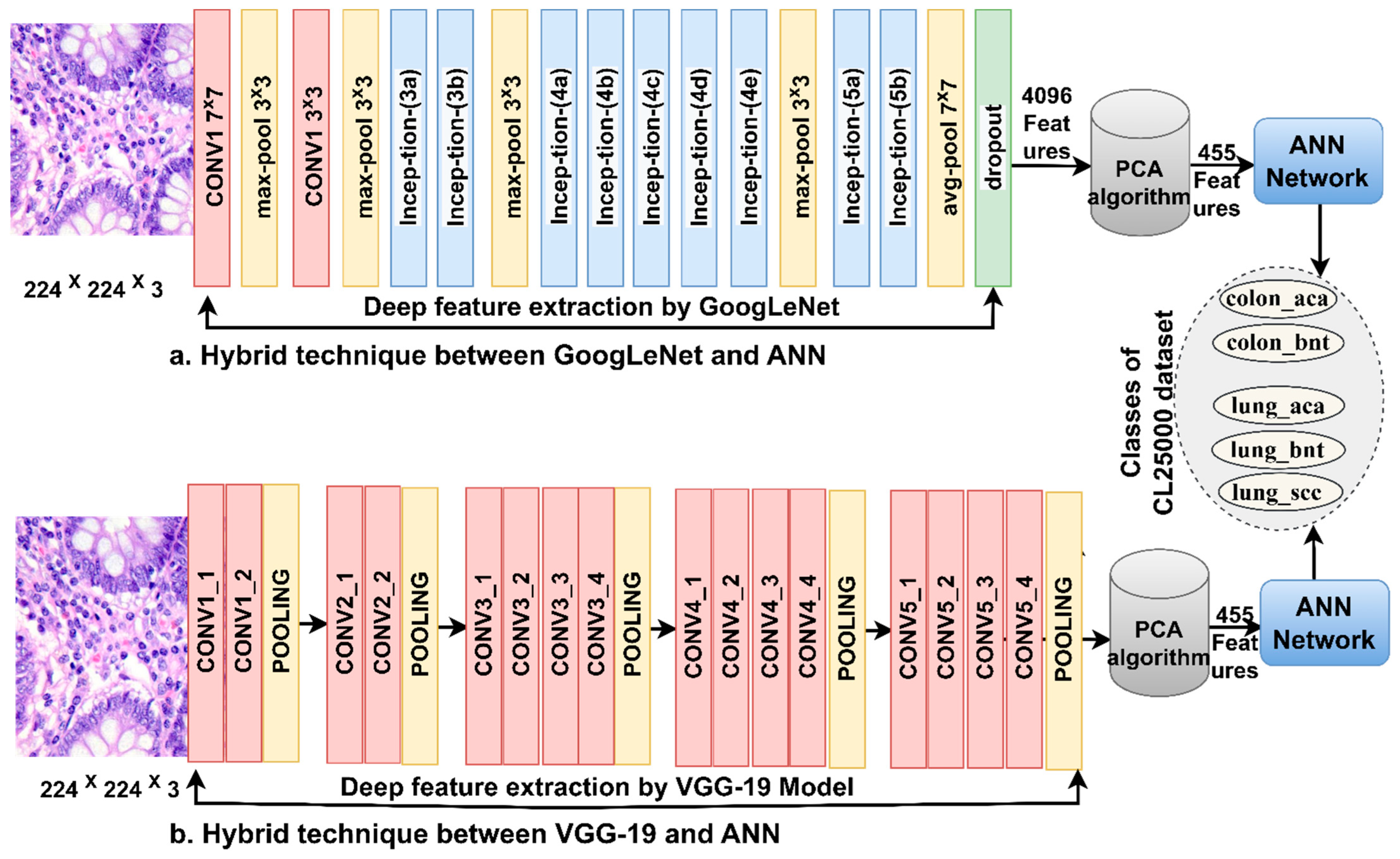 Bioengineering 10 00383 g003