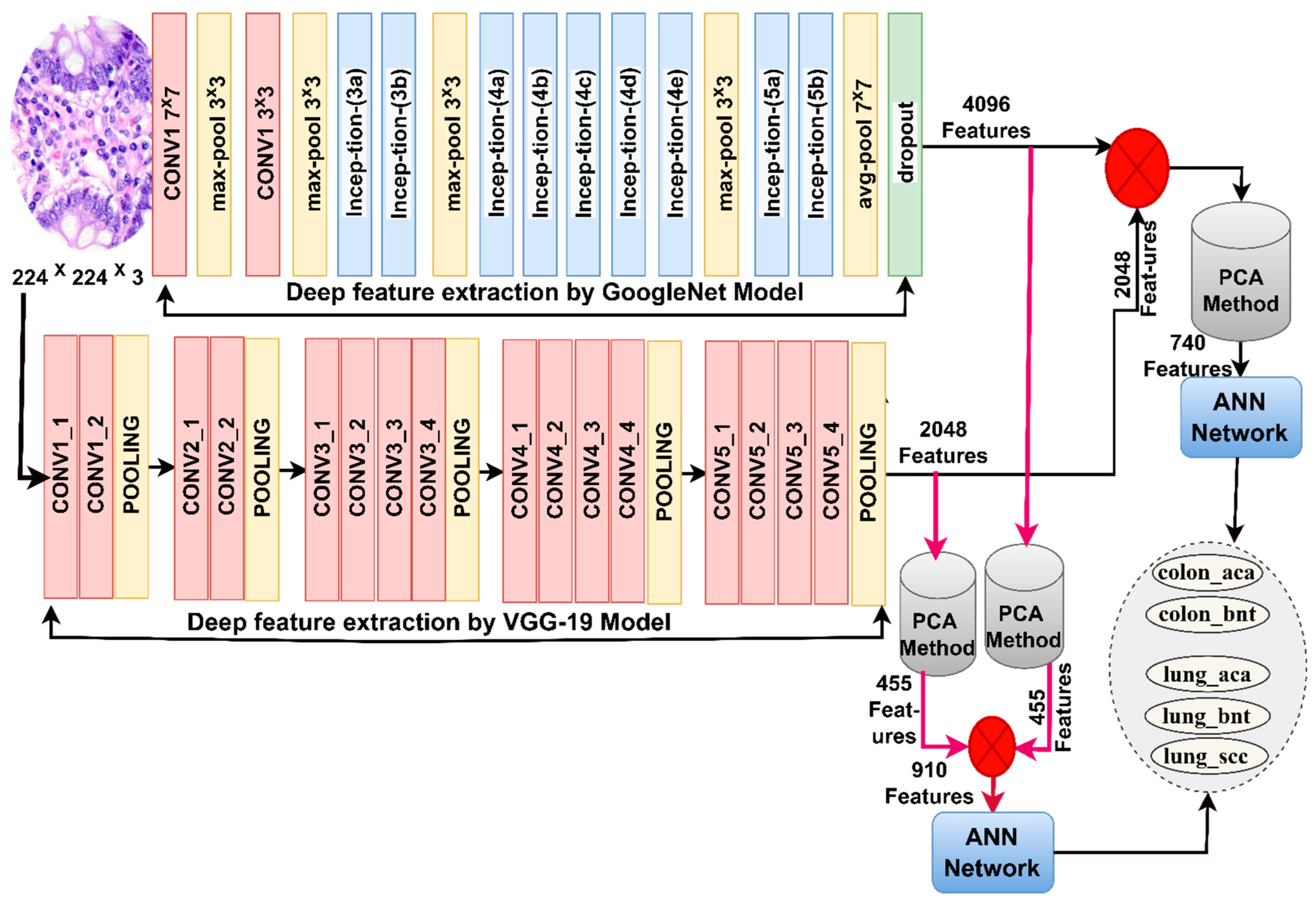 Bioengineering 10 00383 g004