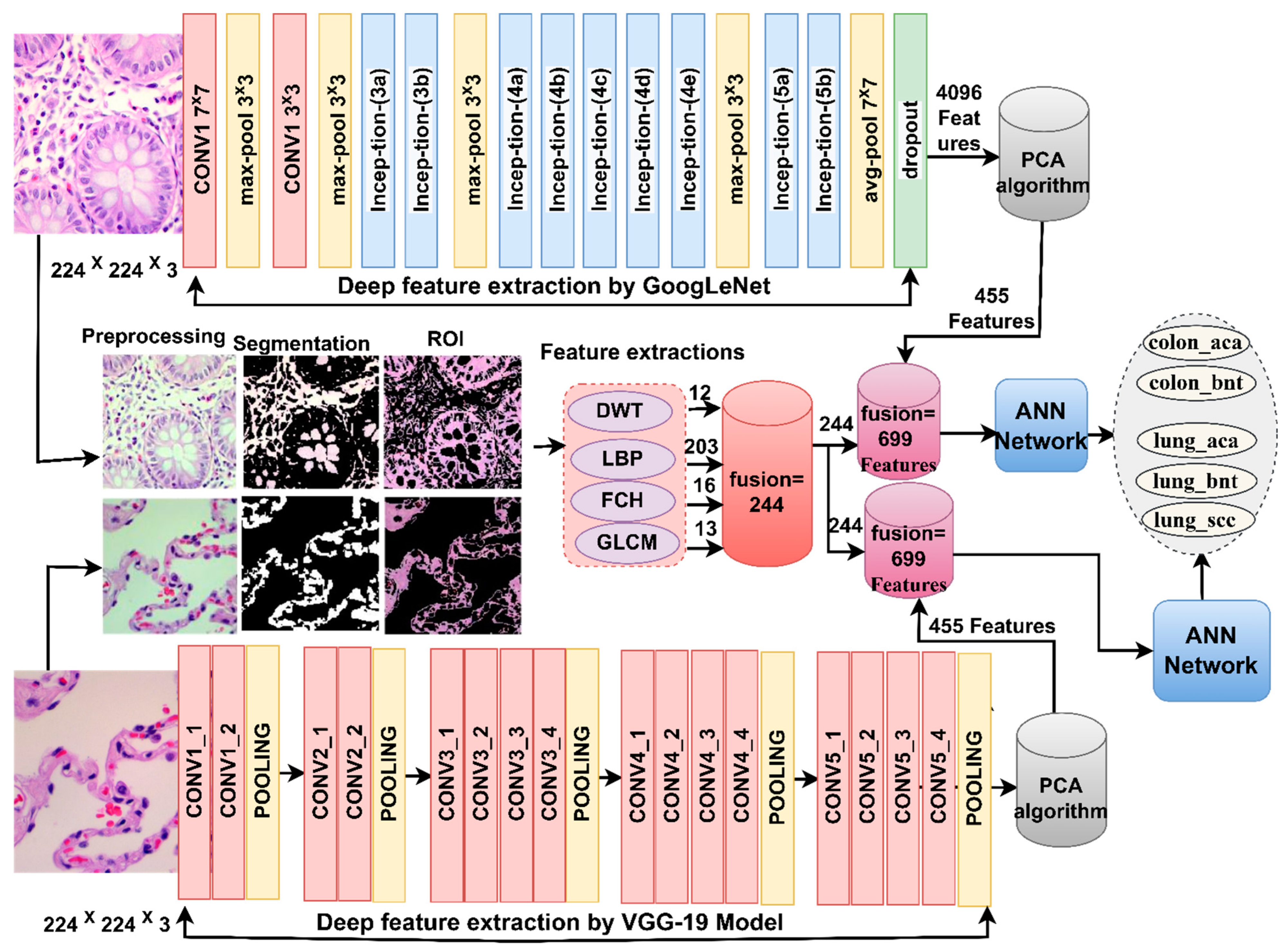 Bioengineering 10 00383 g005