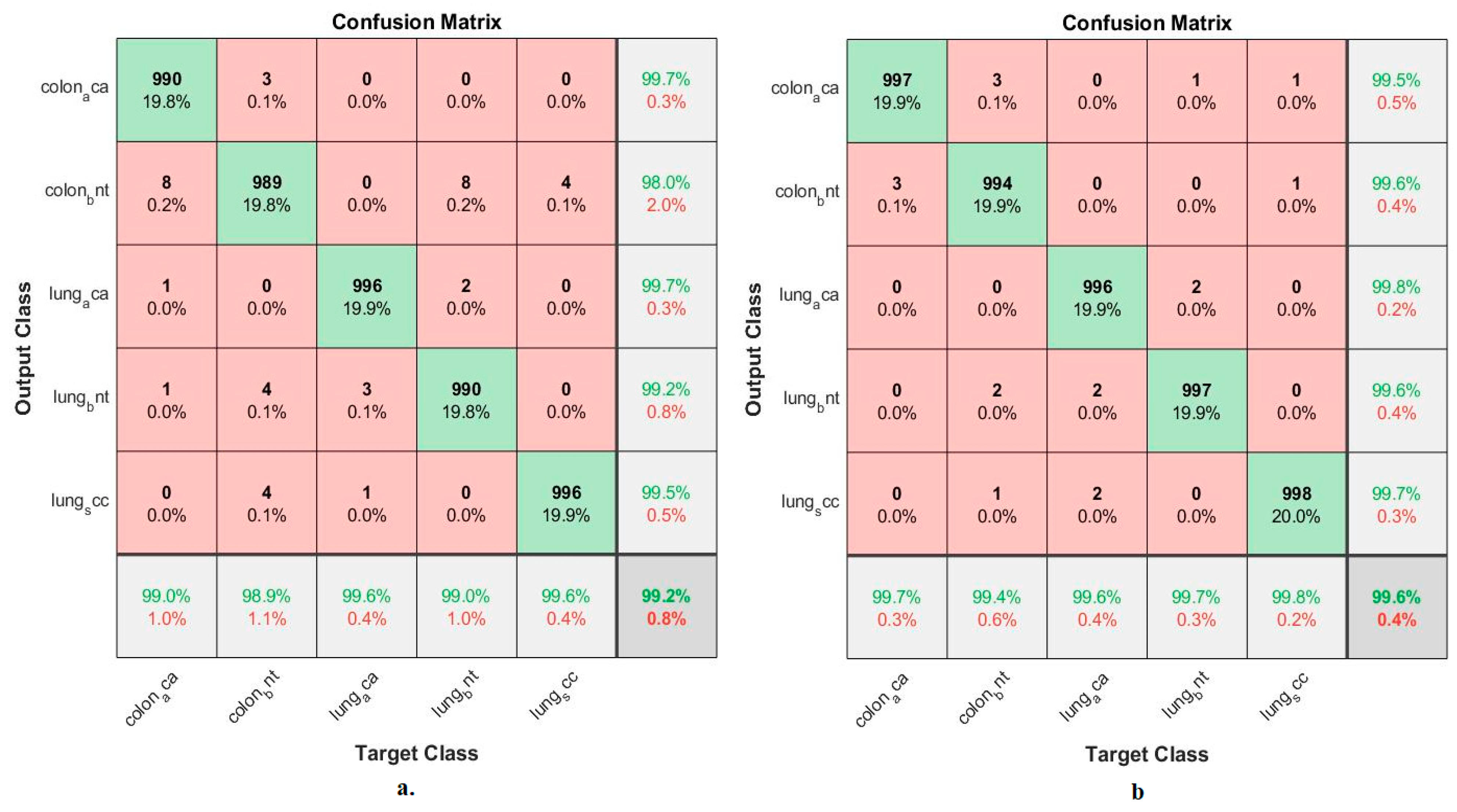 Bioengineering 10 00383 g011