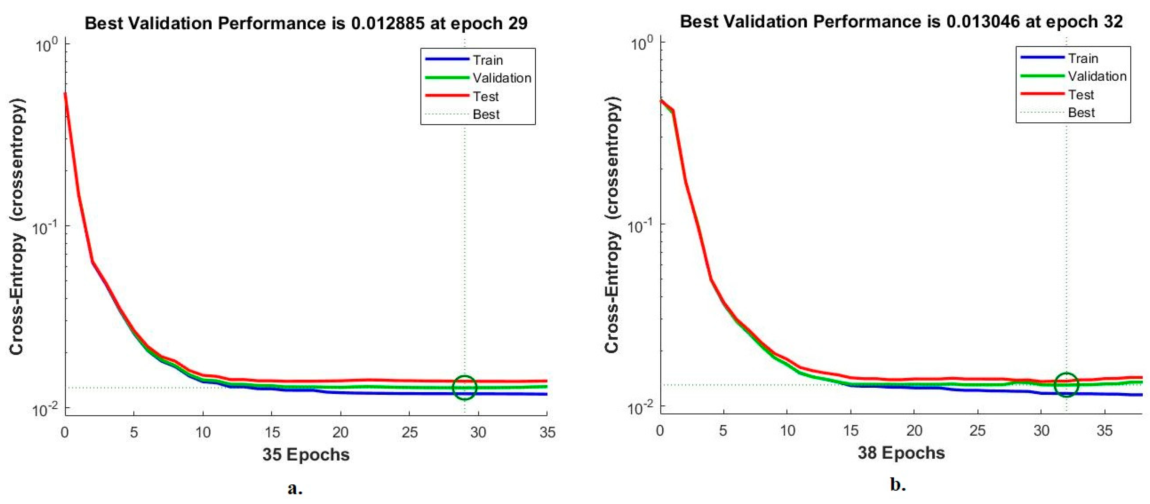 Bioengineering 10 00383 g013