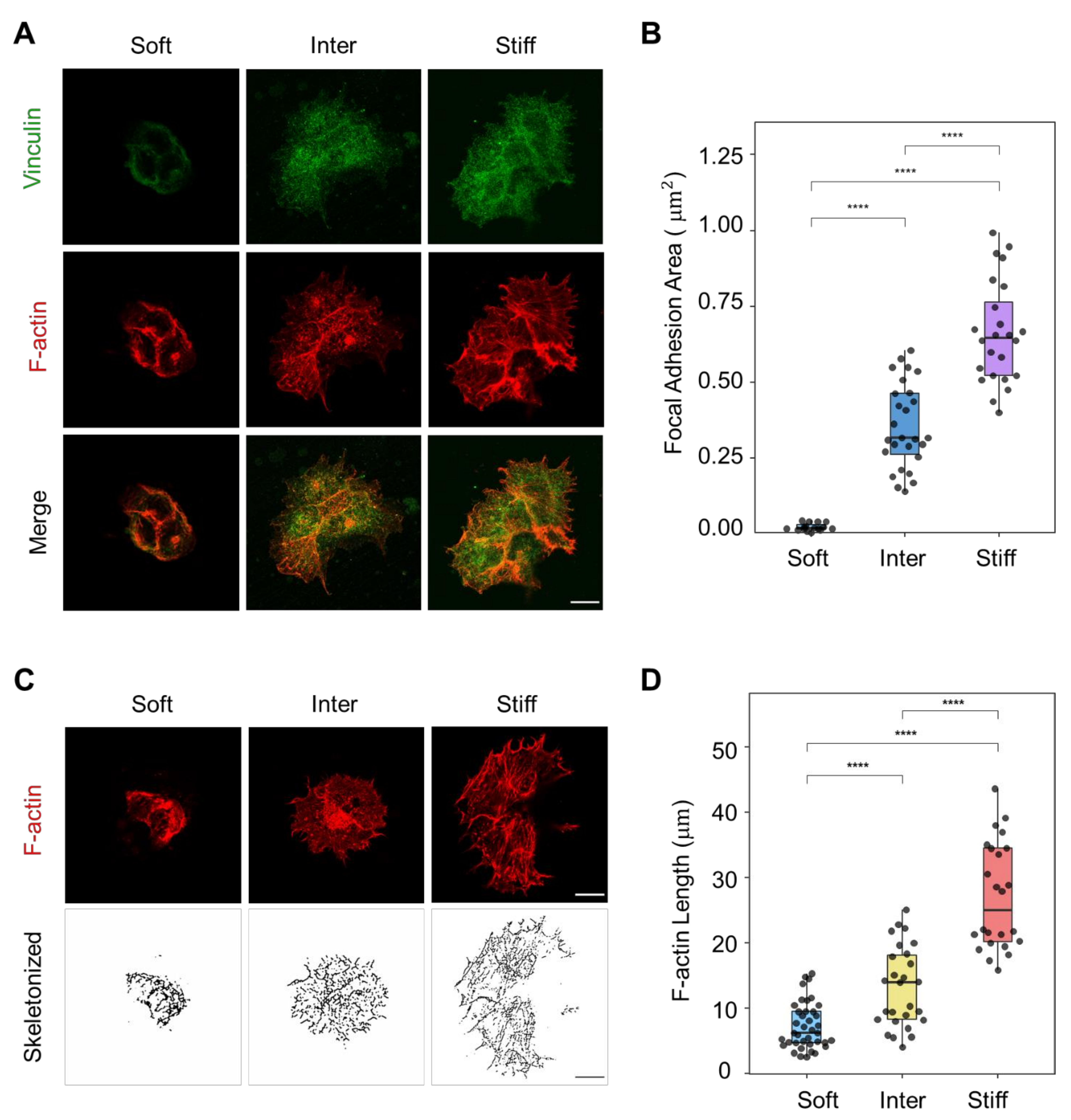 Bioengineering 10 00384 g002