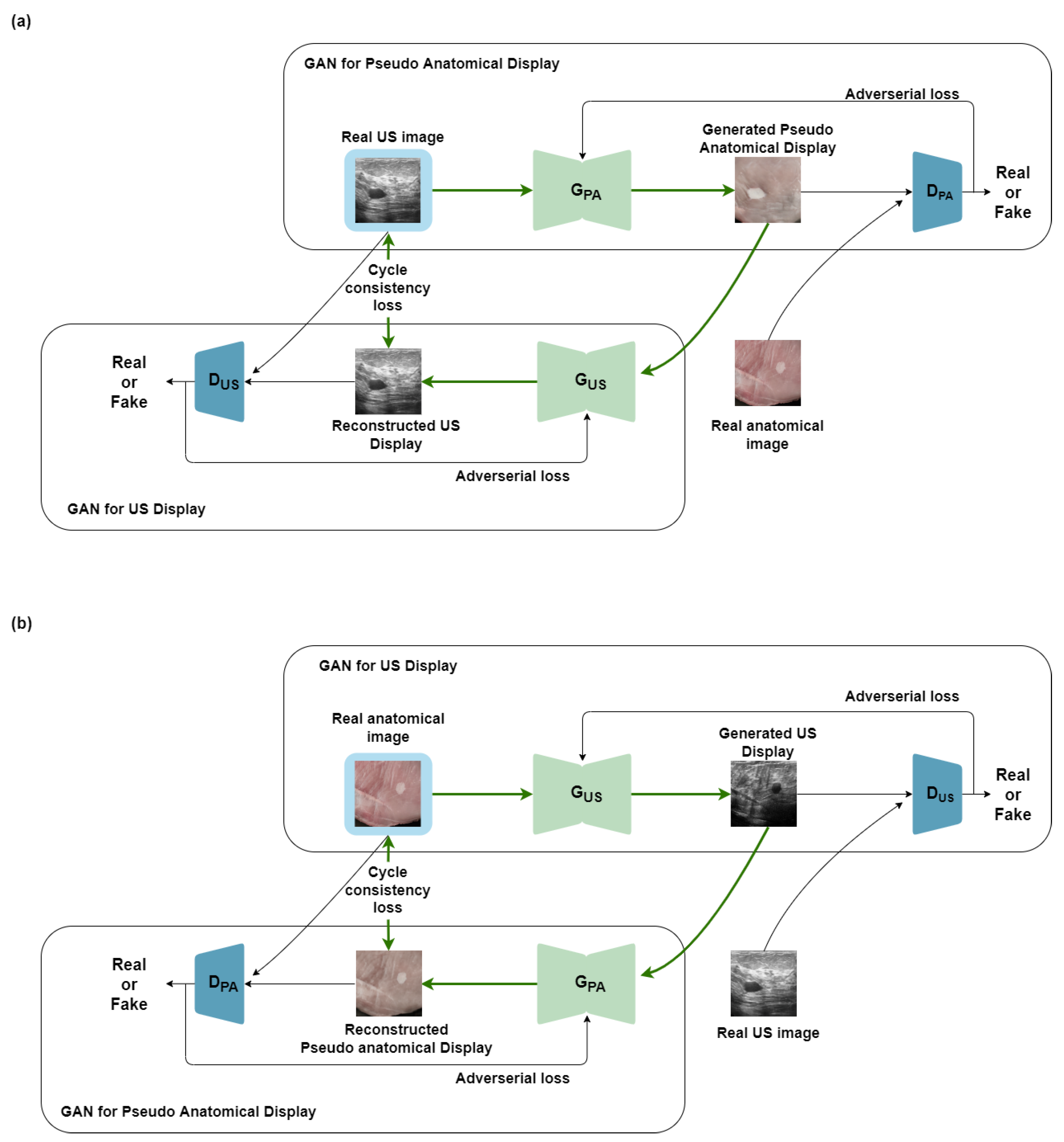 Bioengineering 10 00388 g001