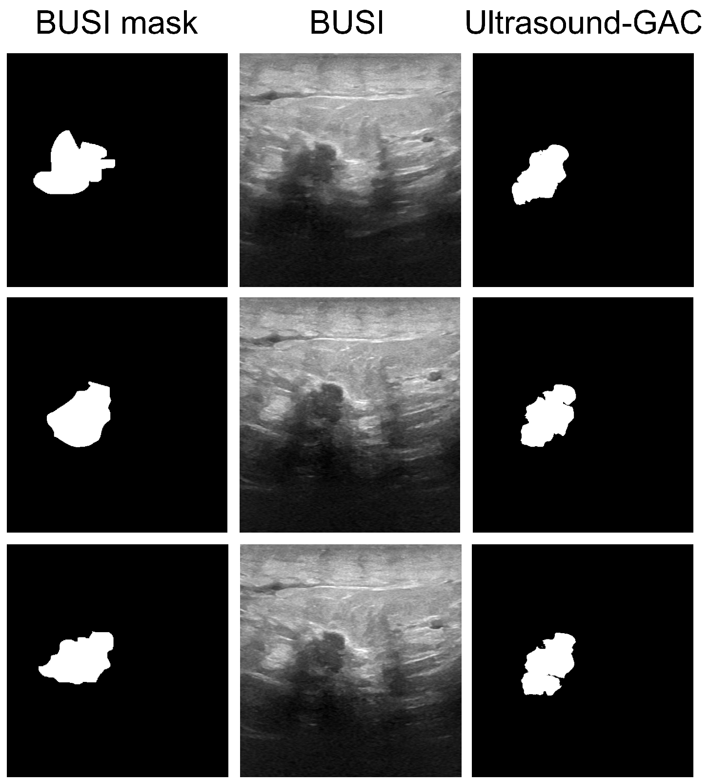 Bioengineering 10 00388 g004