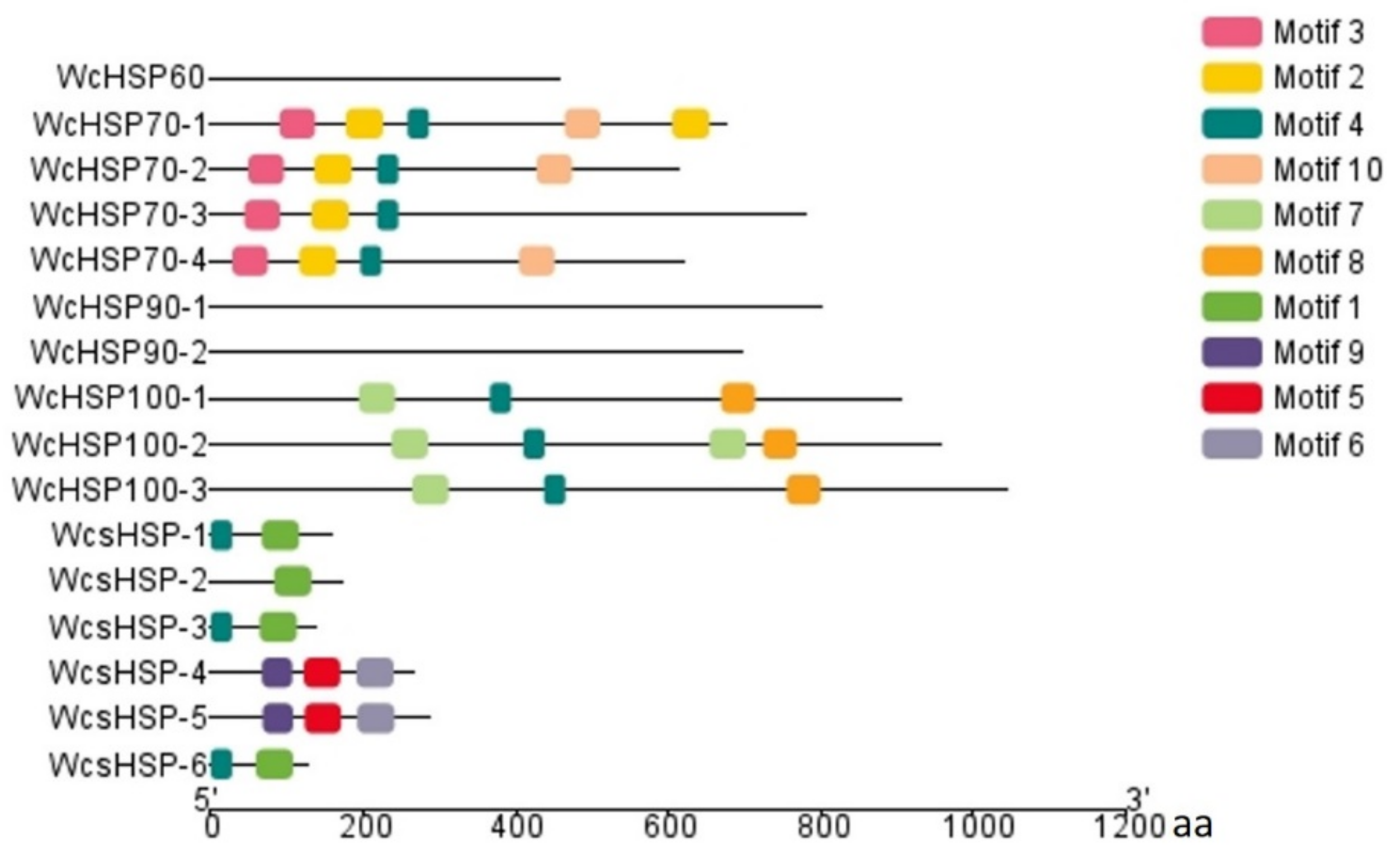 Bioengineering 10 00390 g003