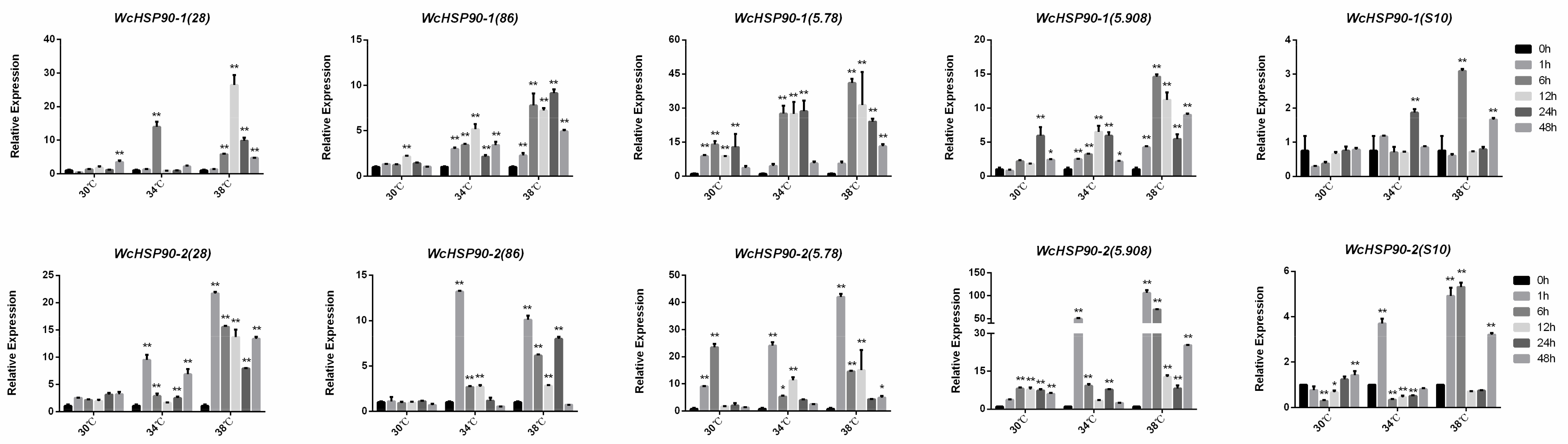 Bioengineering 10 00390 g005