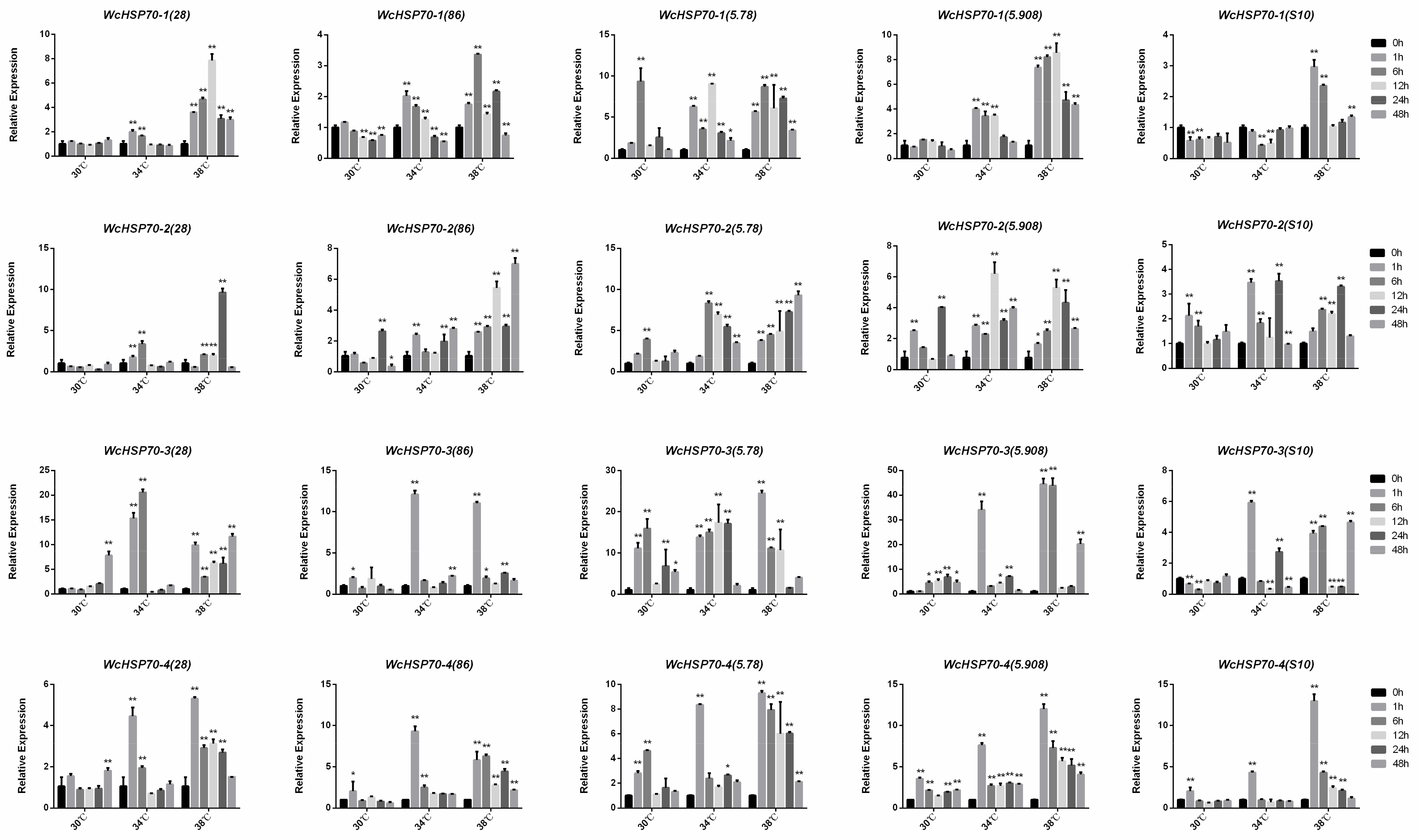Bioengineering 10 00390 g006