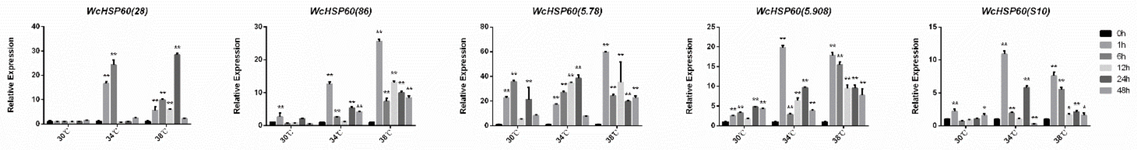 Bioengineering 10 00390 g007