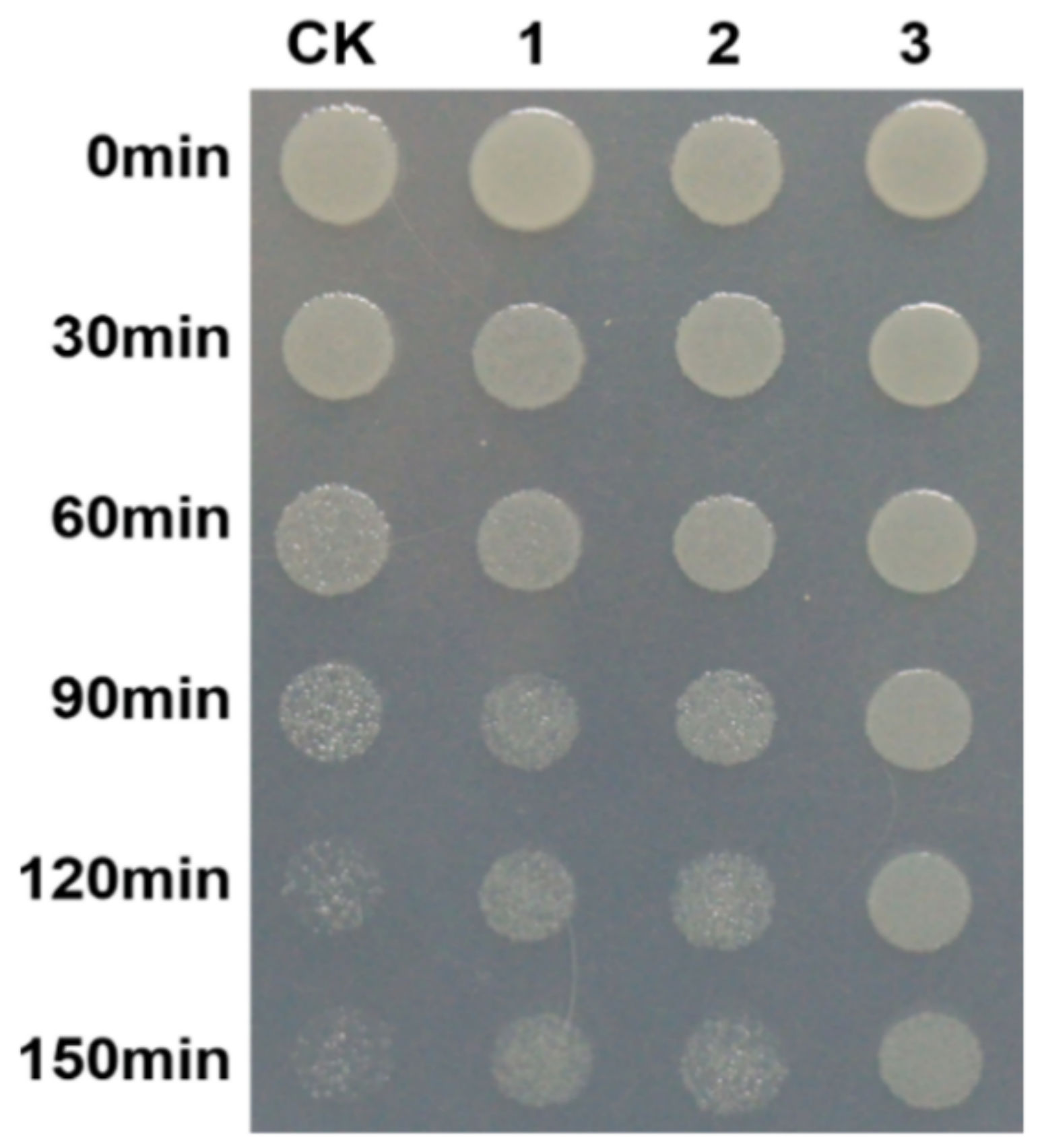 Bioengineering 10 00390 g009
