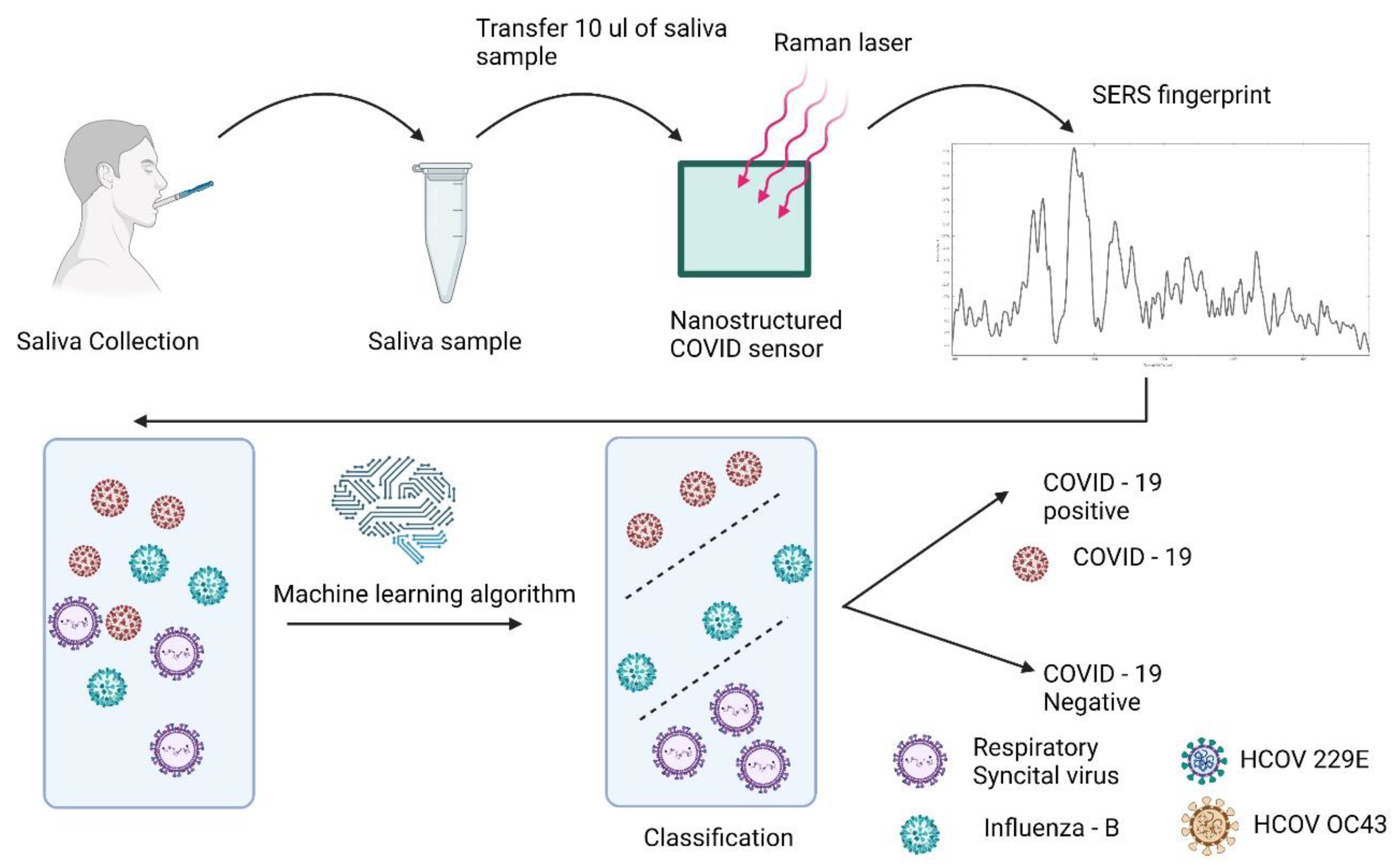 Bioengineering 10 00391 g001