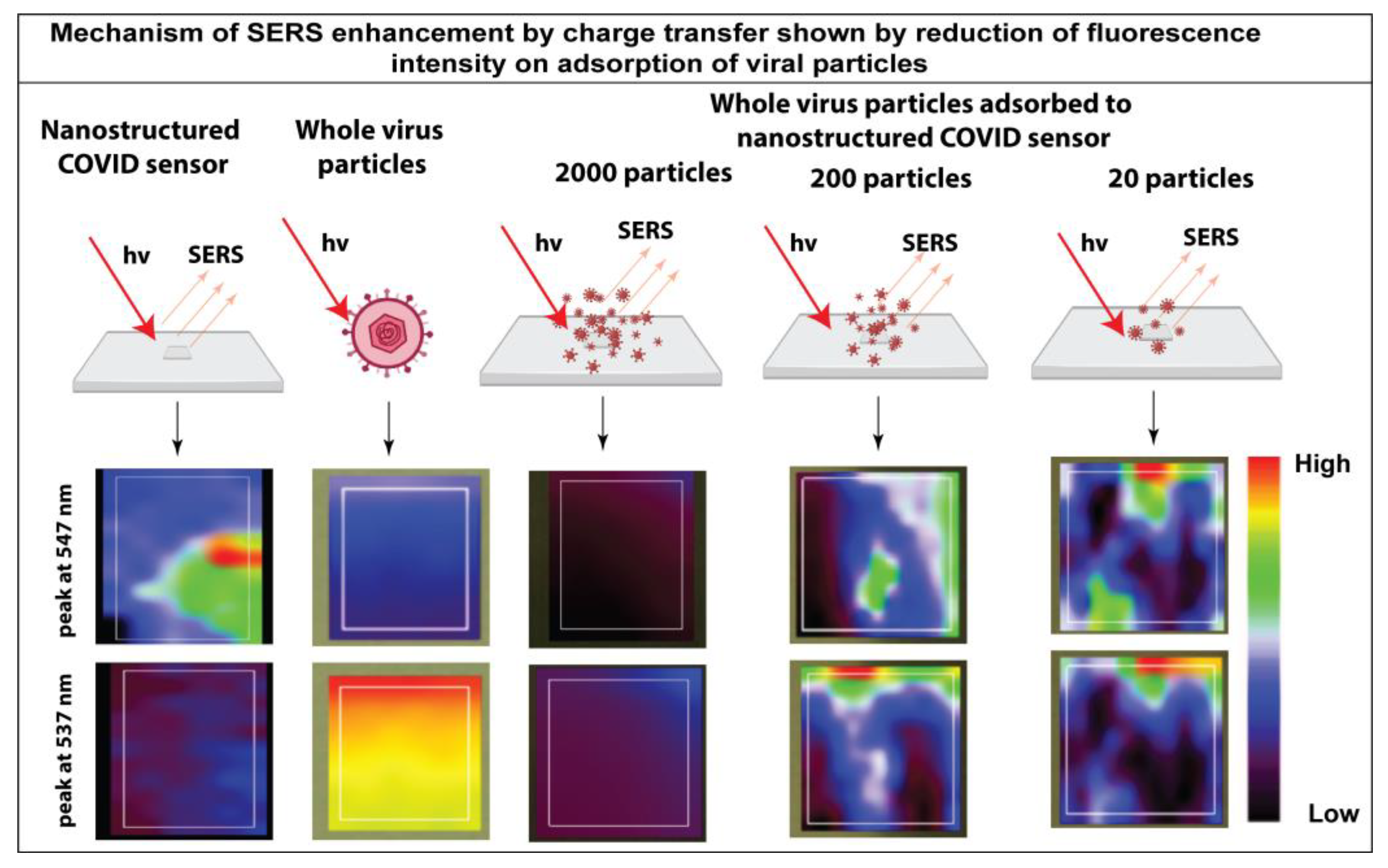 Bioengineering 10 00391 g004
