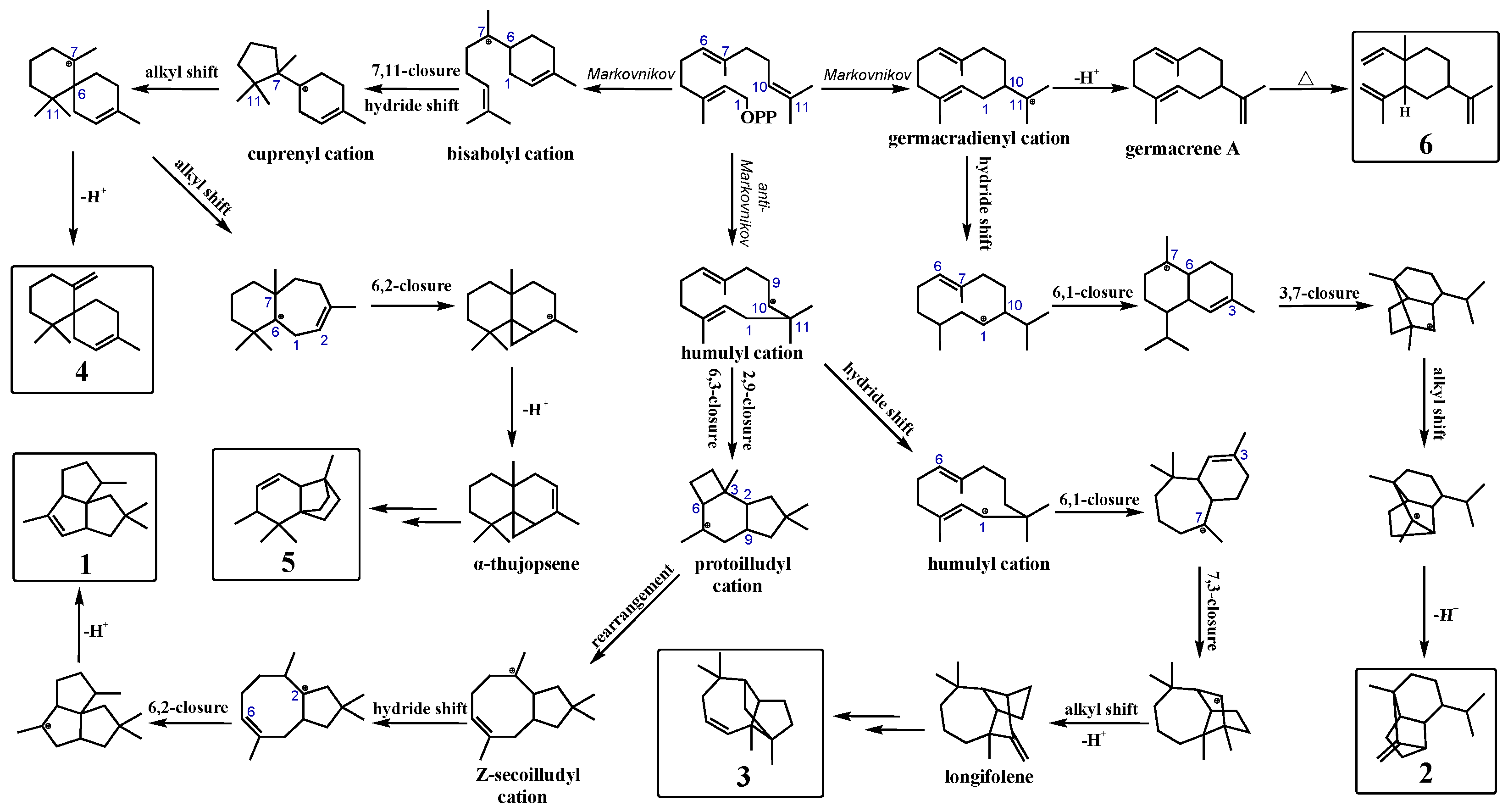 Bioengineering 10 00392 g003 Bioengineering 10 00392 g003