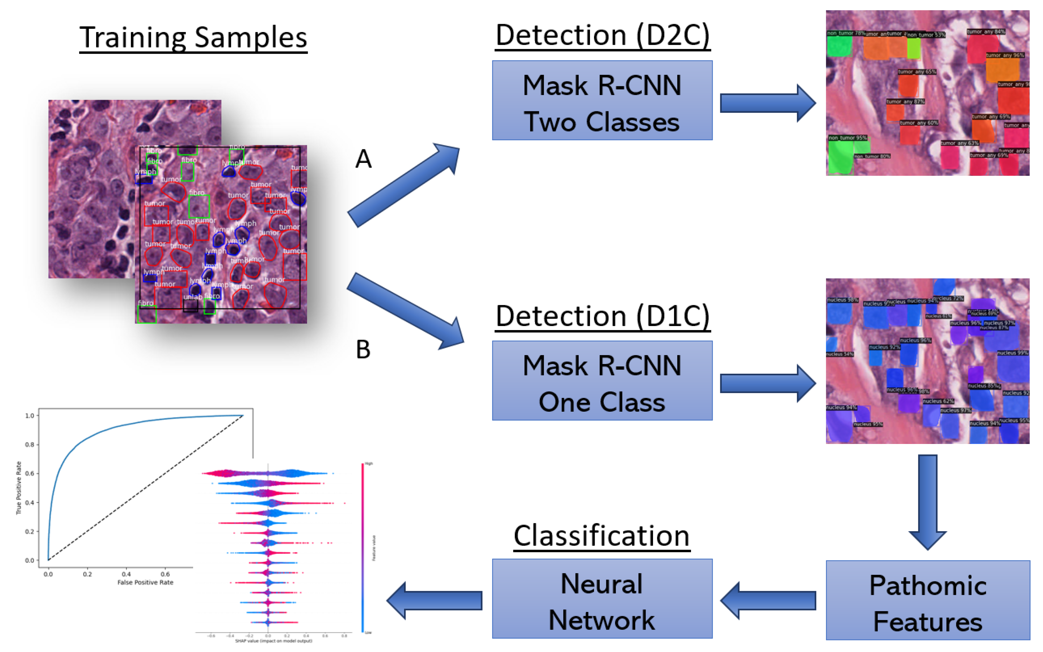 Bioengineering 10 00396 g002