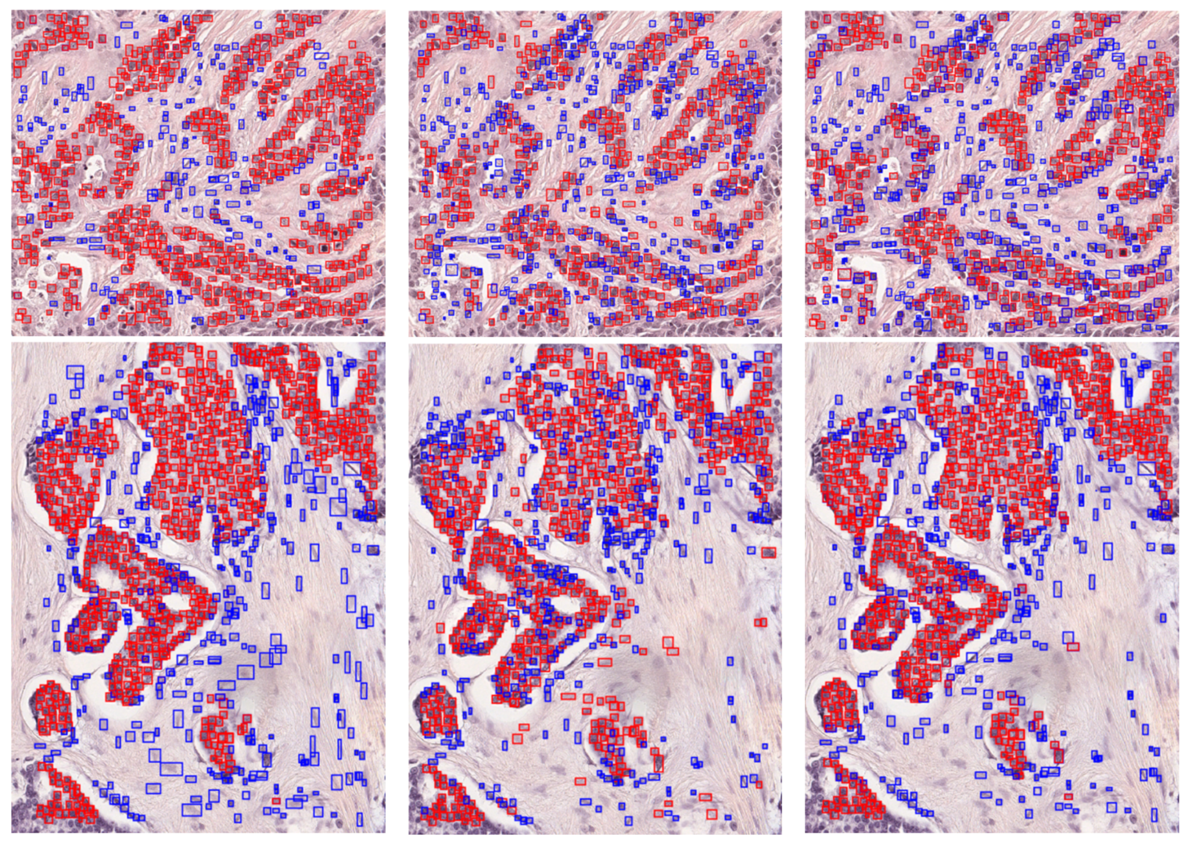 Bioengineering 10 00396 g006