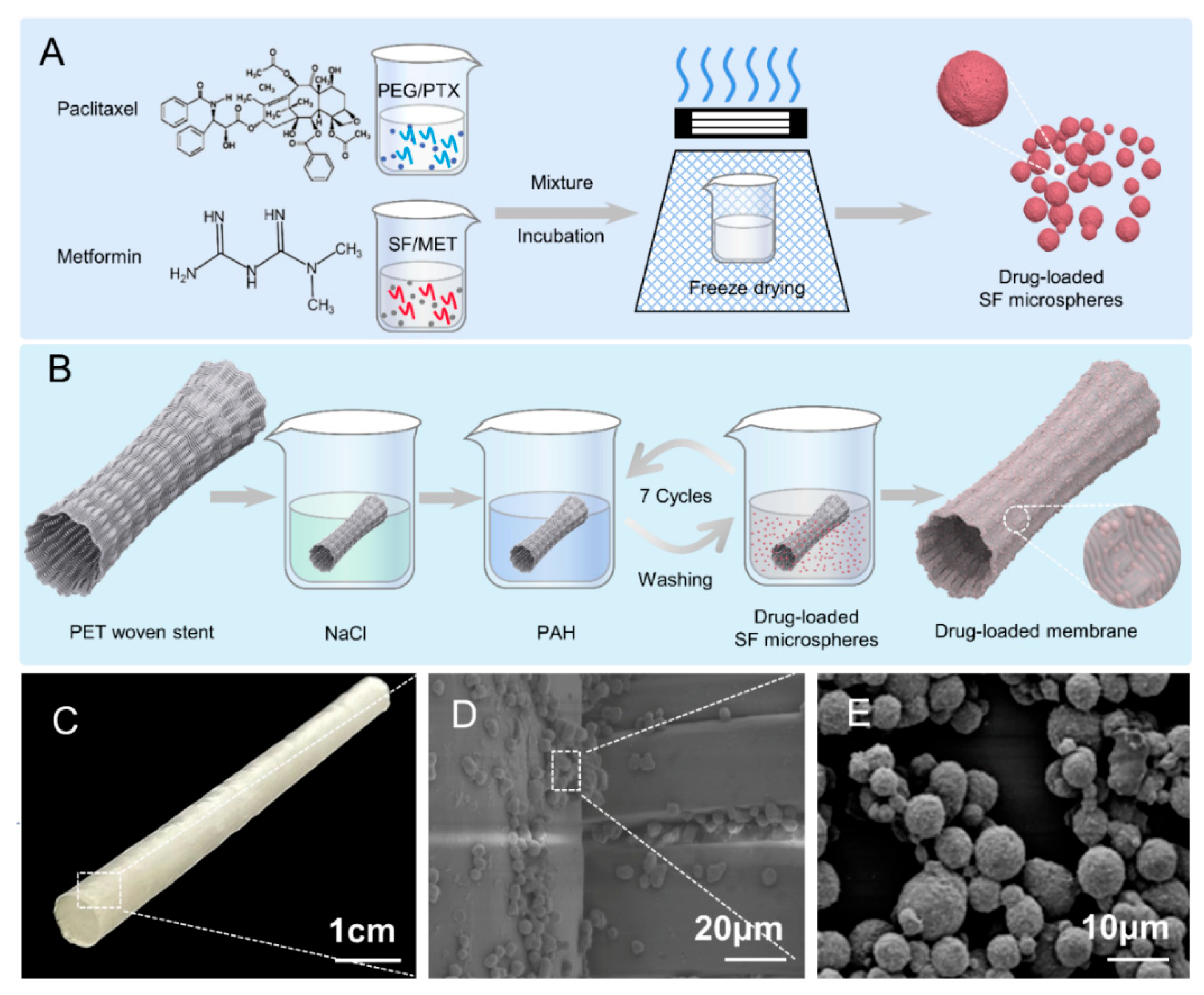 Bioengineering 10 00399 g001 Bioengineering 10 00399 g001