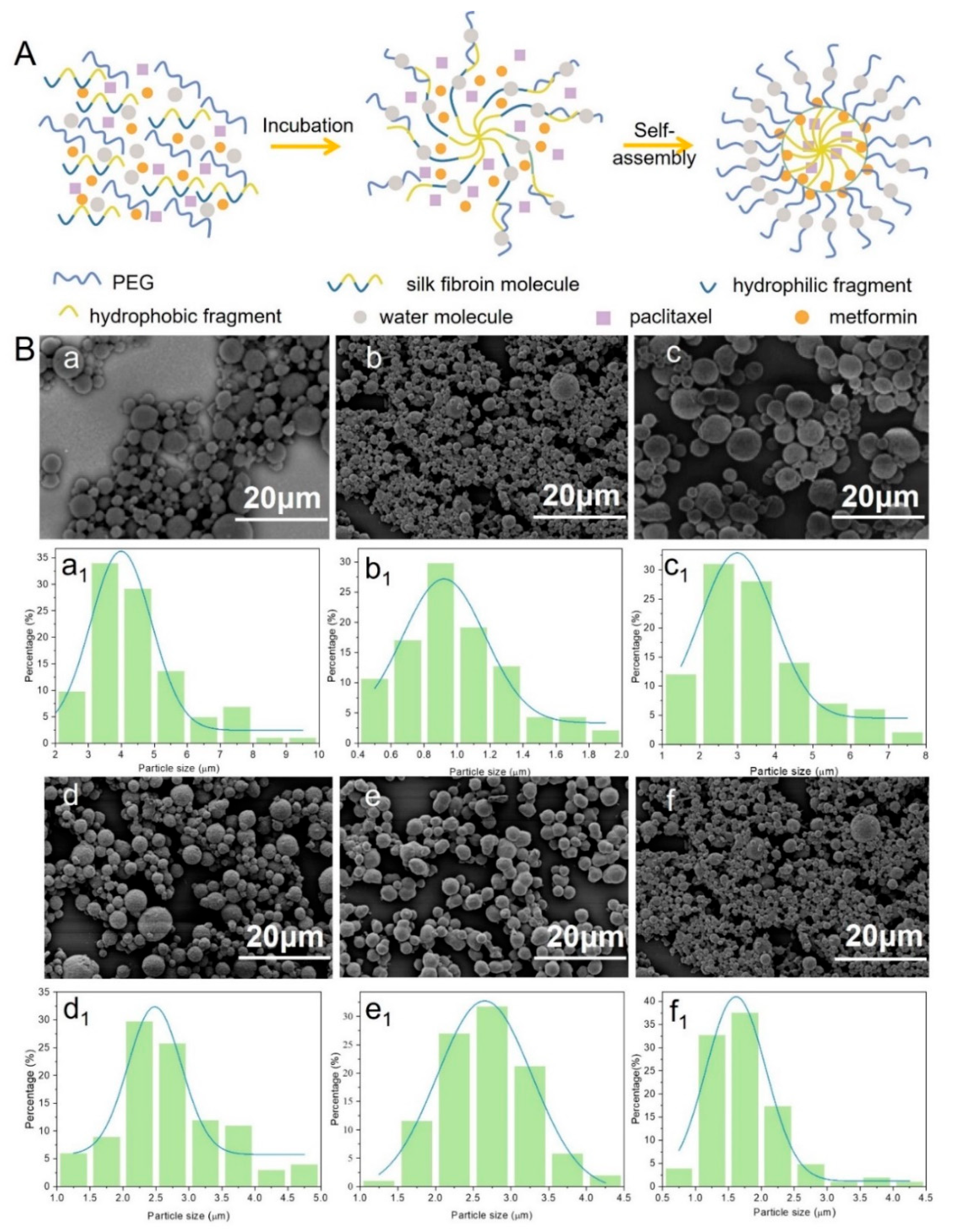 Bioengineering 10 00399 g002 Bioengineering 10 00399 g002