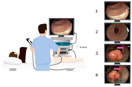 Bioengineering 10 00404 g001