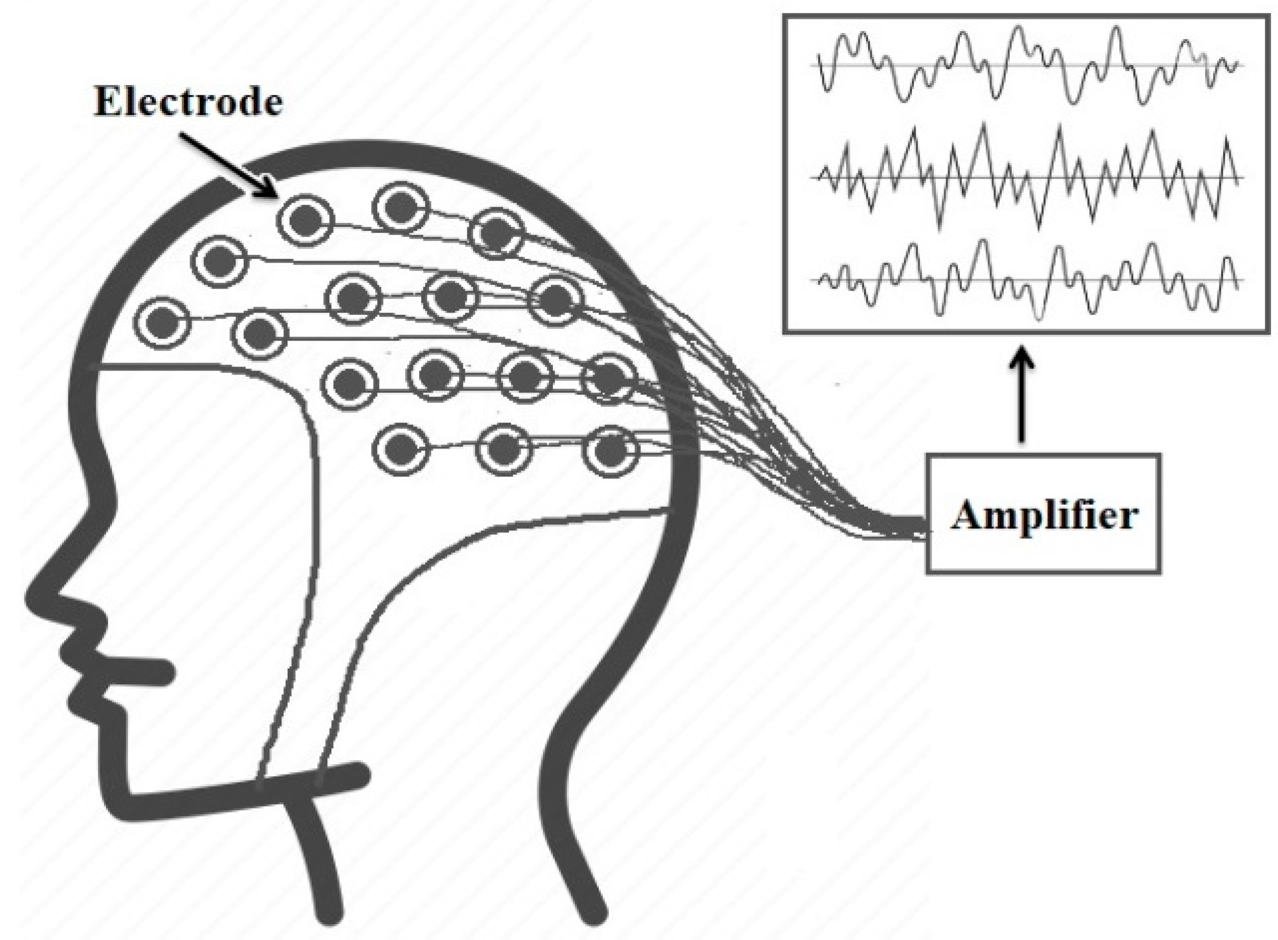 Bioengineering 10 00406 g002