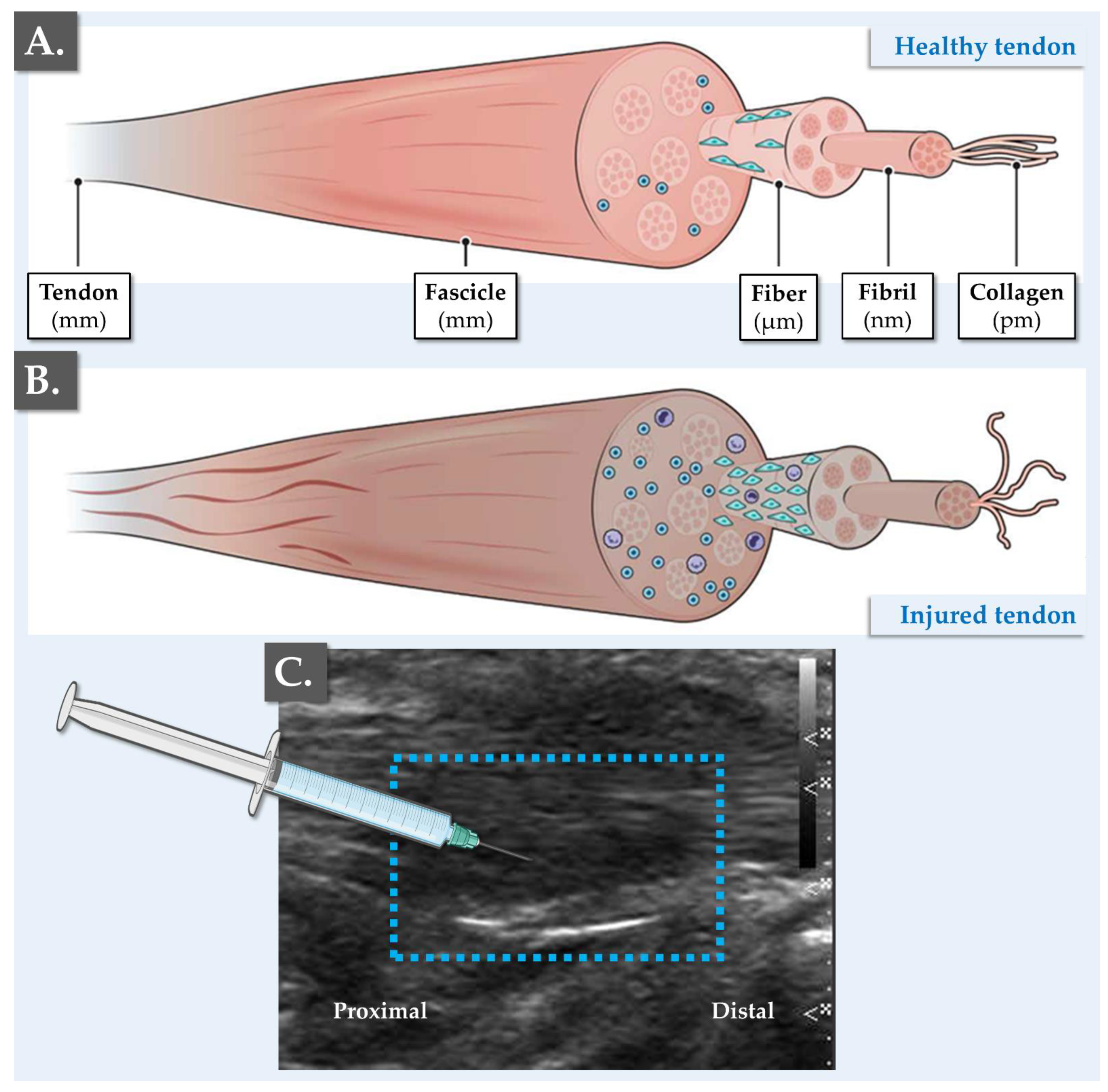 Bioengineering 10 00409 g003