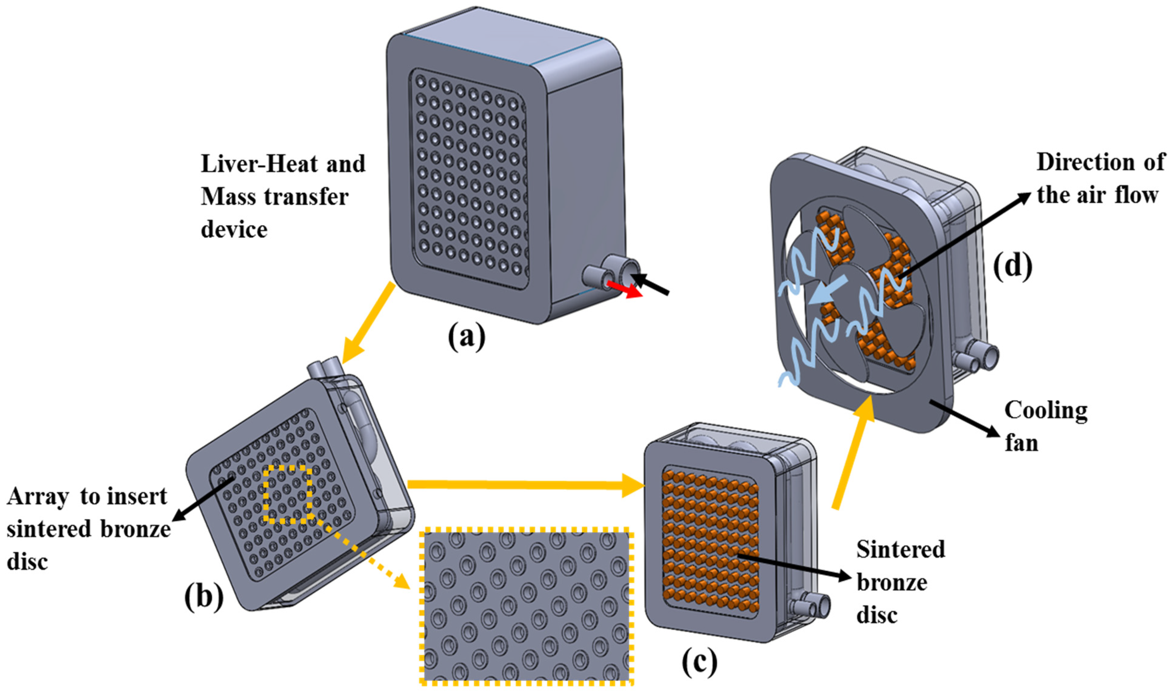 Bioengineering 10 00416 g003