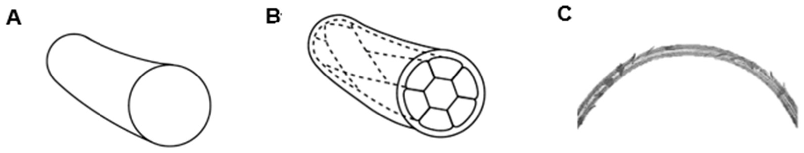 Bioengineering 10 00419 g001