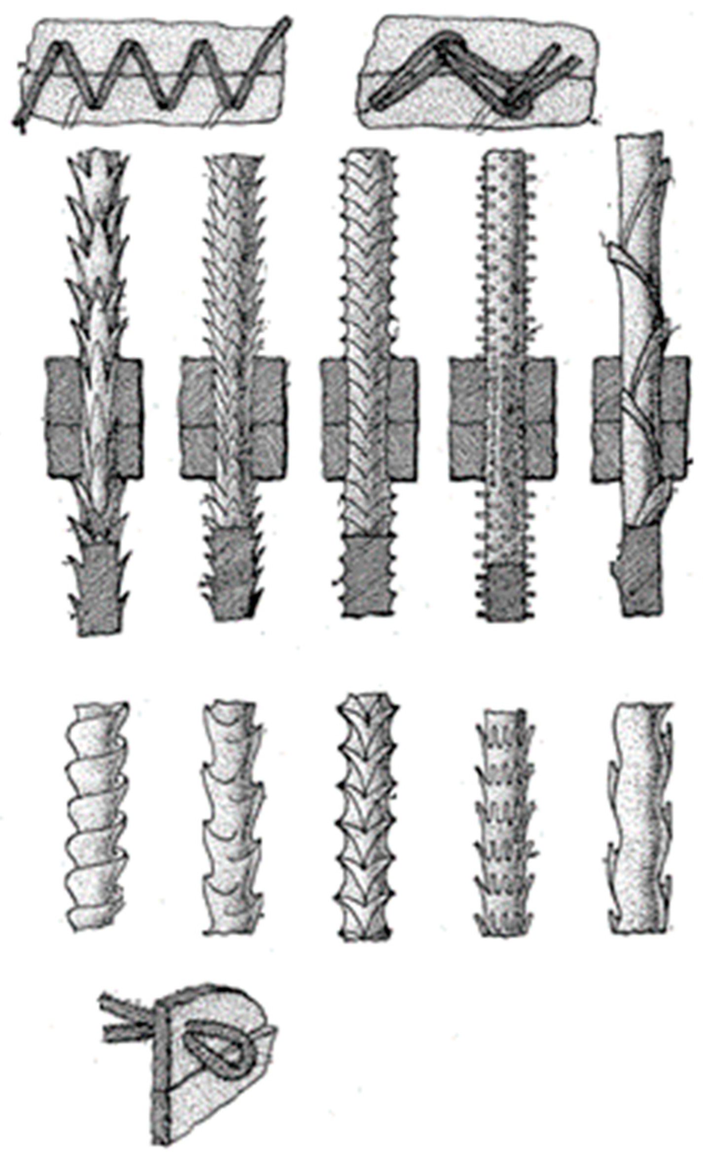 Bioengineering 10 00419 g002