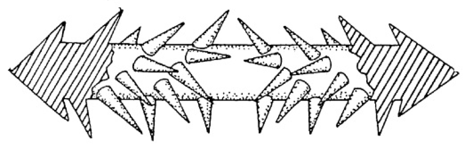 Bioengineering 10 00419 g005