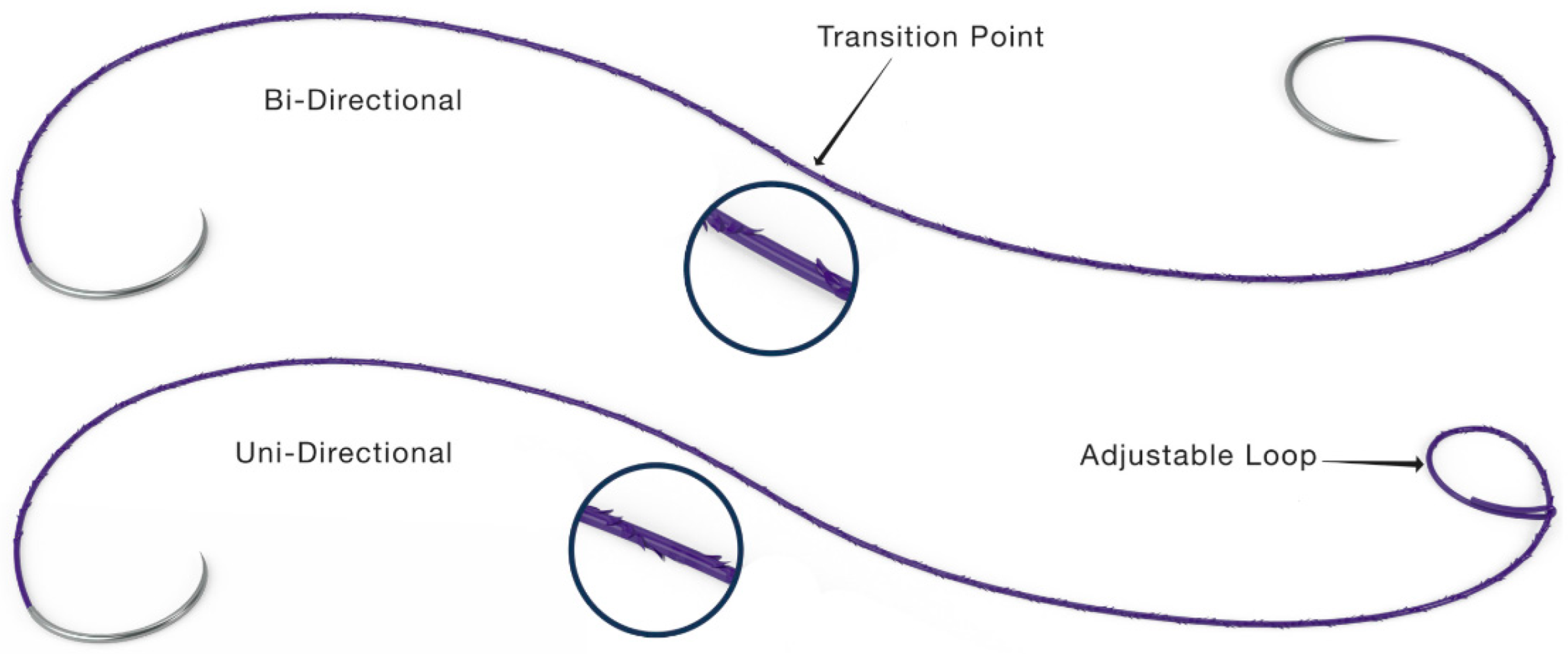 Bioengineering 10 00419 g011
